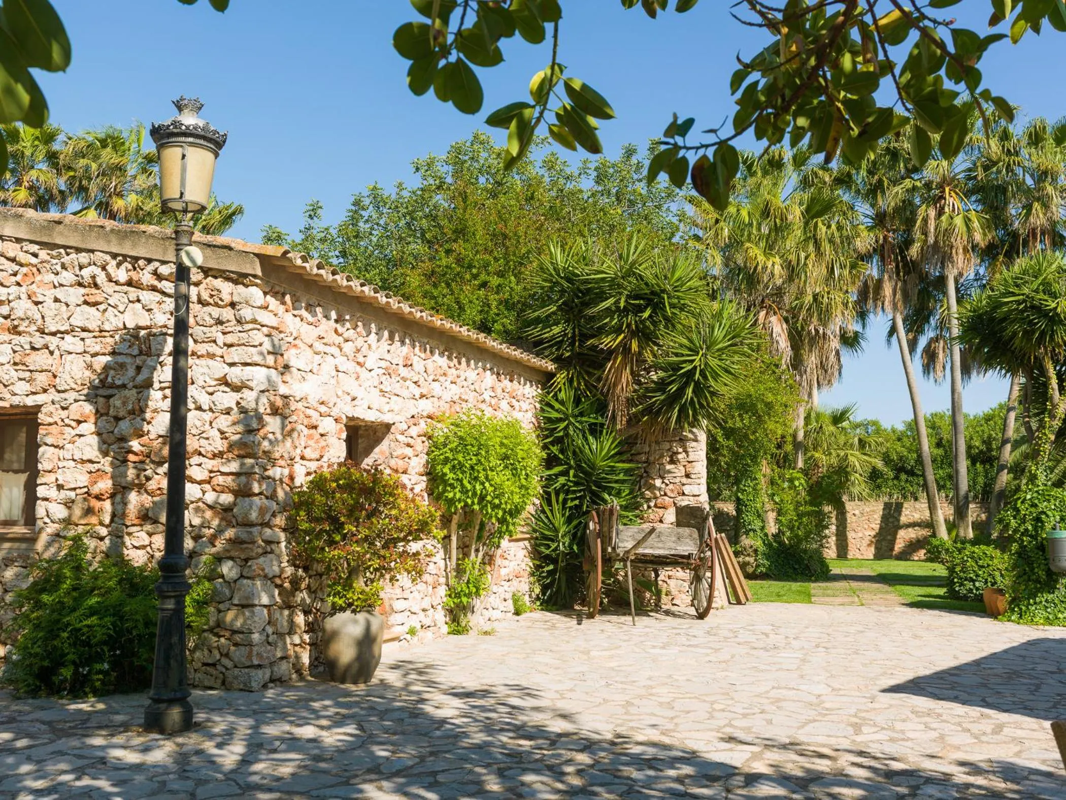 View (from property/room) in Sa Bassa Rotja Ecoturisme