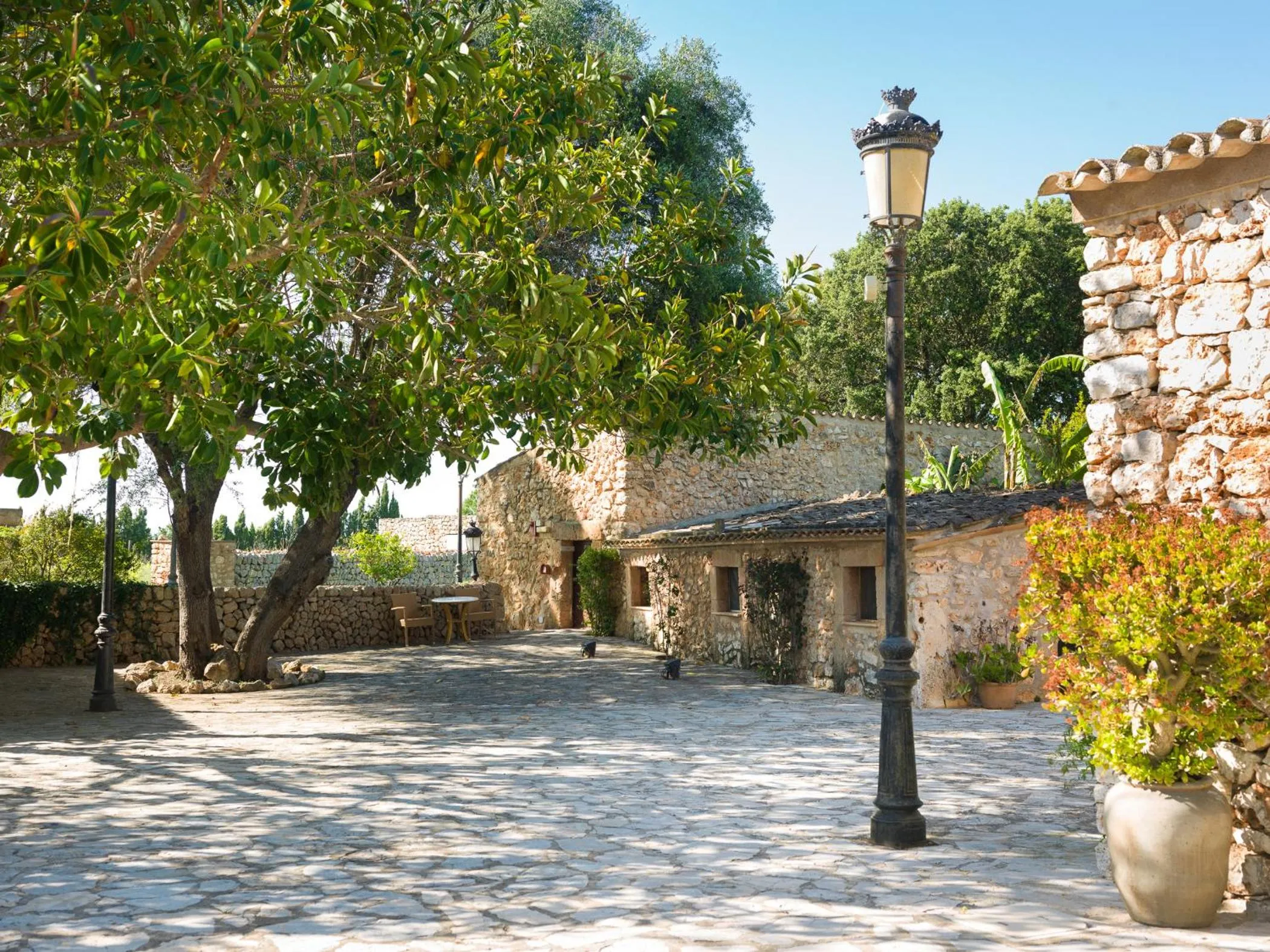 Garden in Sa Bassa Rotja Ecoturisme