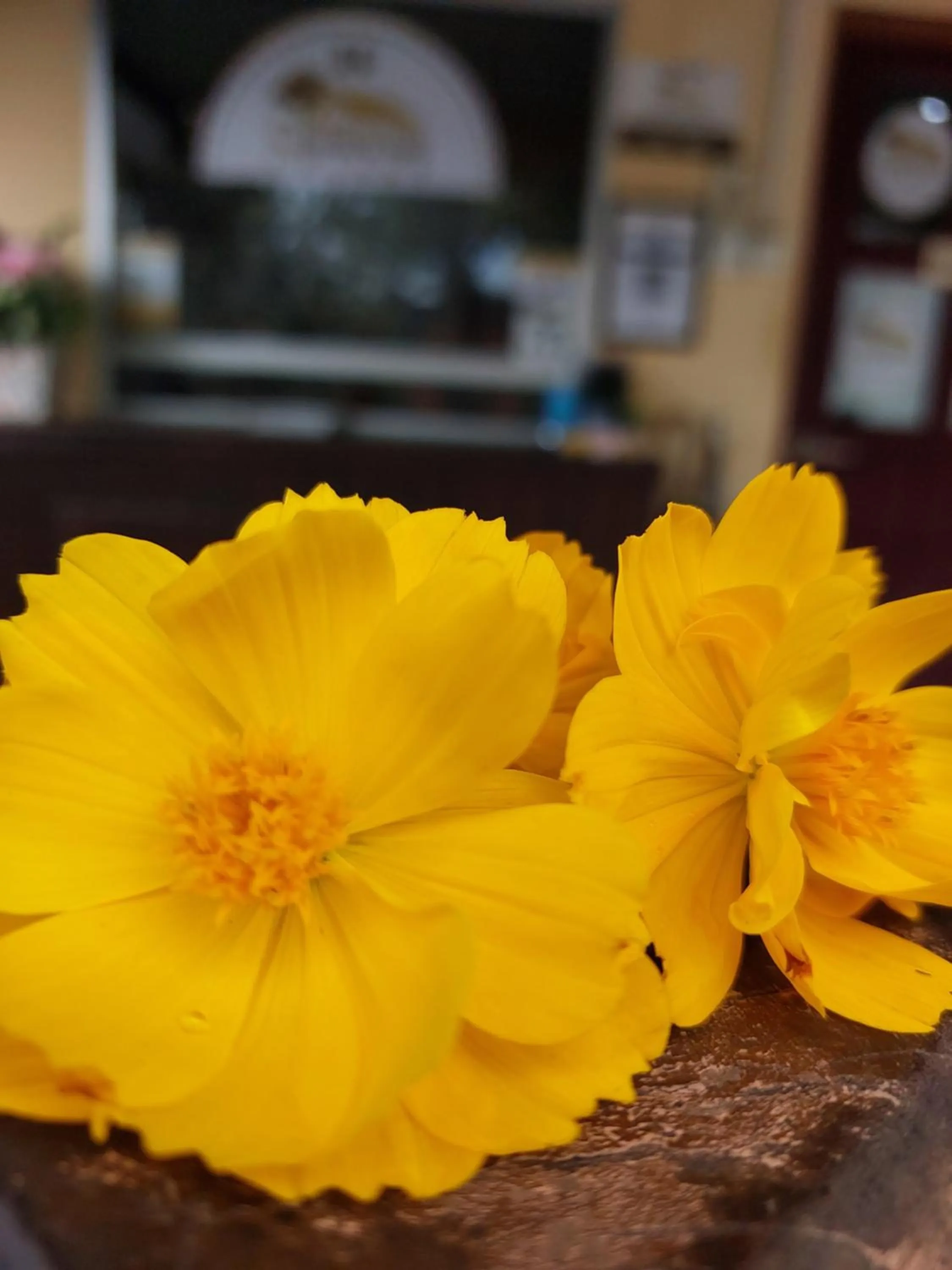 Staff in Changlun Chalet