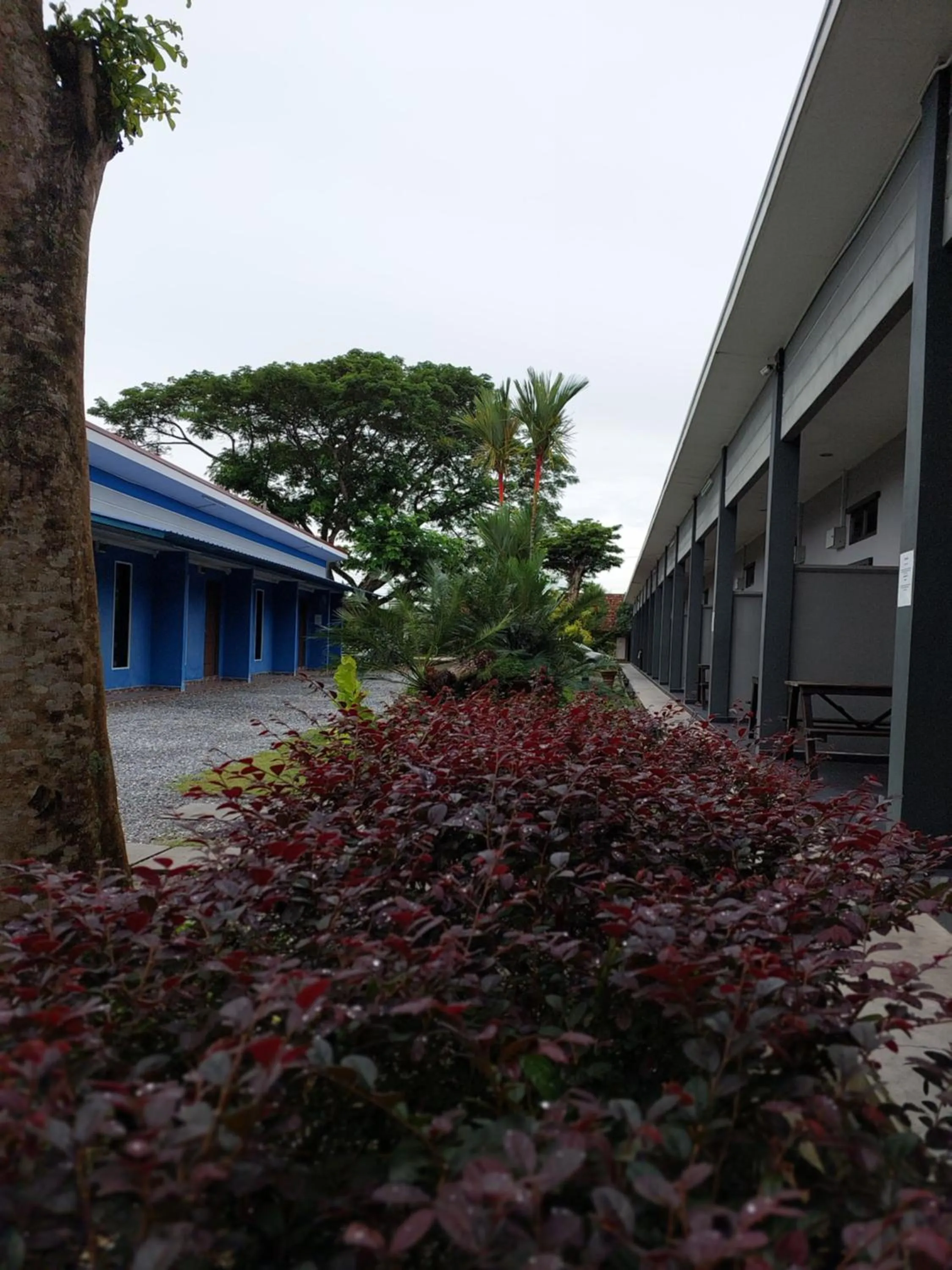 Property building in Changlun Chalet