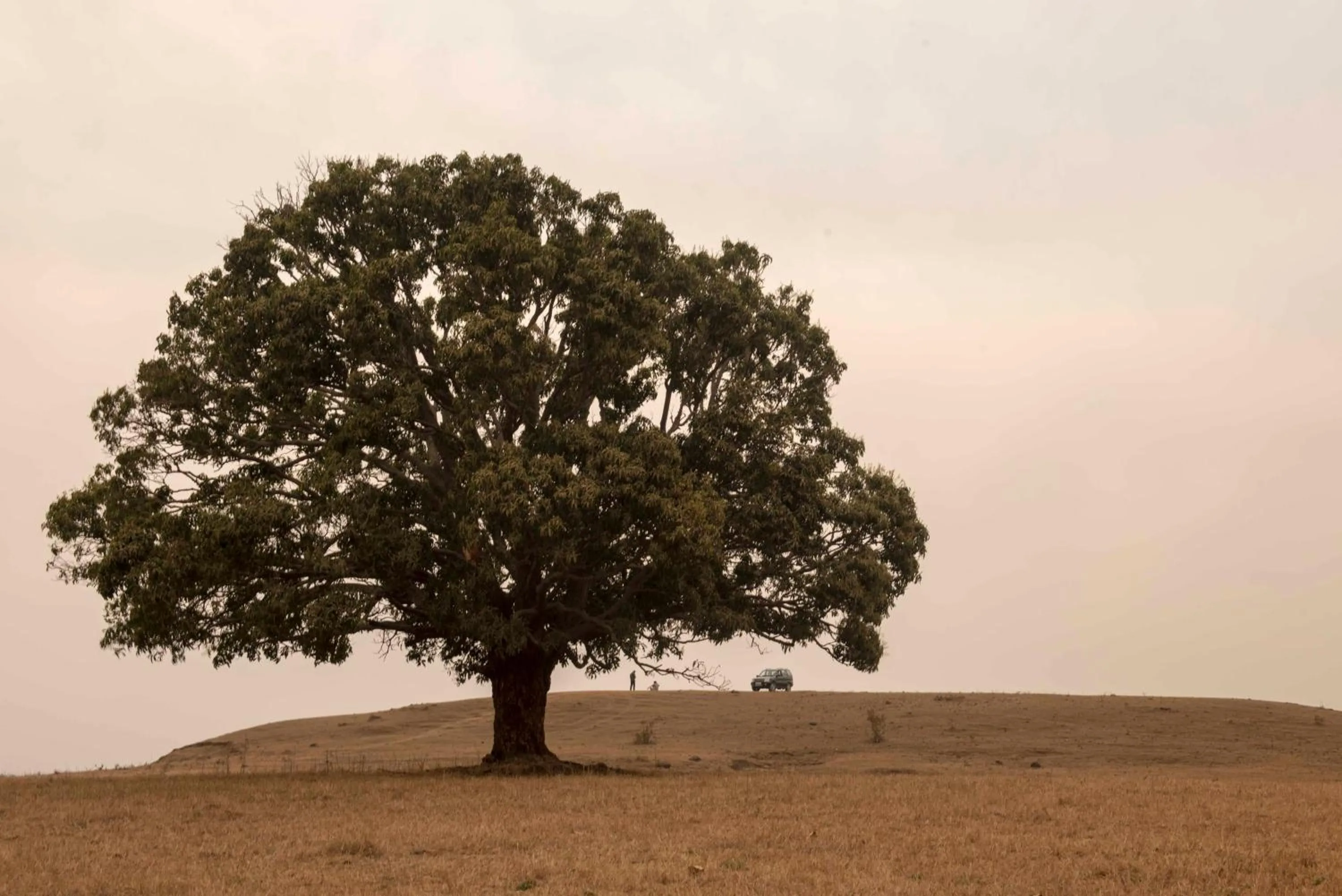 Day in Baghvan Pench National Park - A Taj Safari Lodge