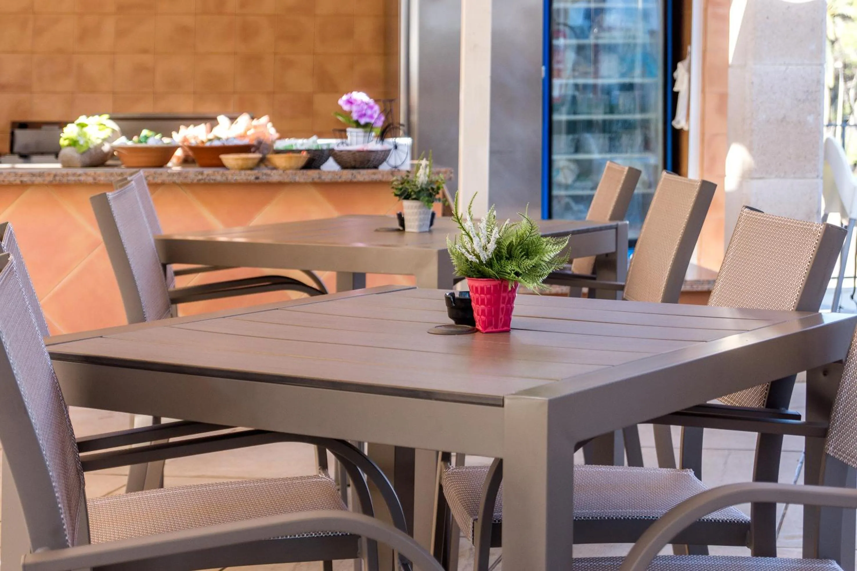 Restaurant/places to eat in Globales Costa de la Calma