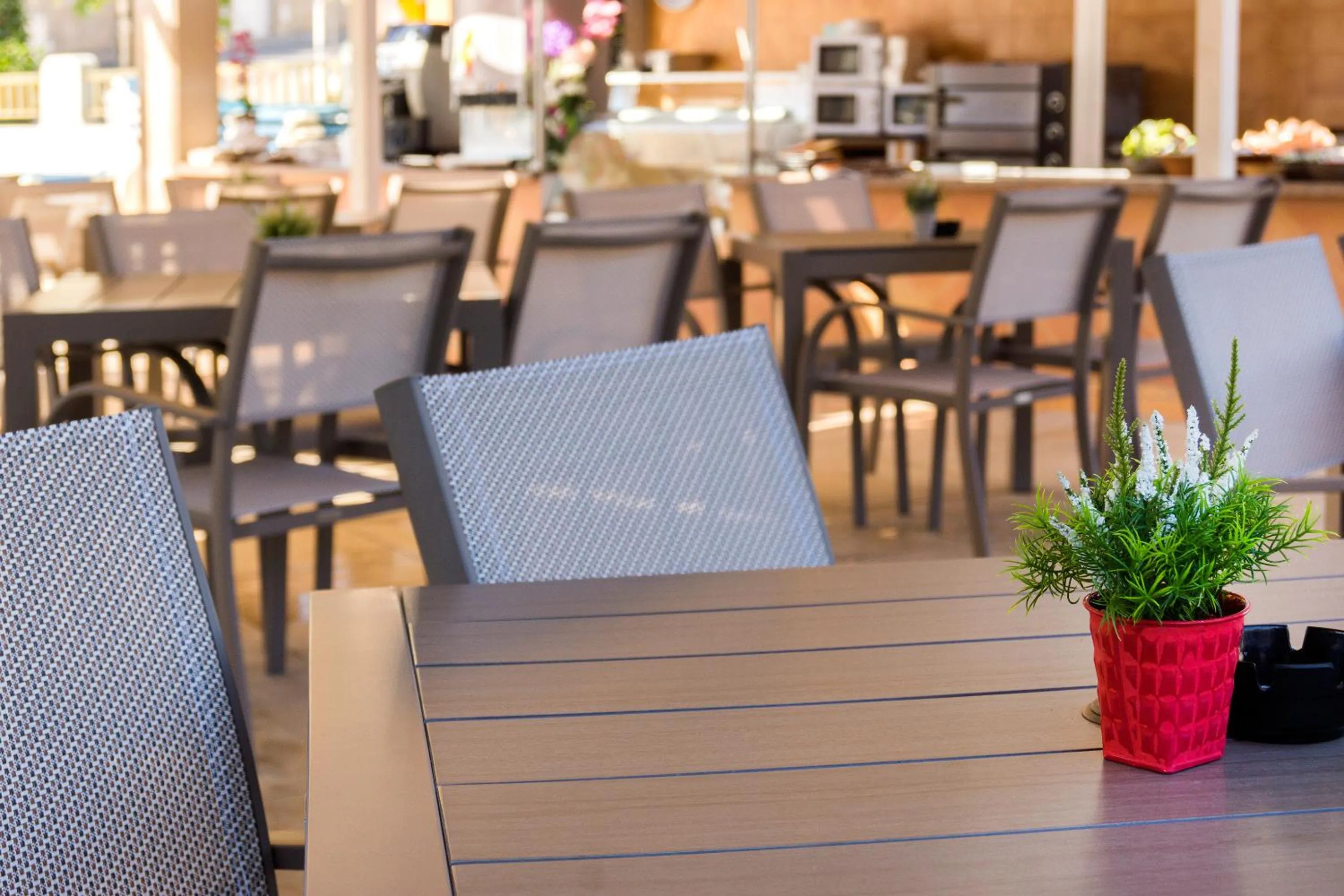 Restaurant/places to eat in Globales Costa de la Calma