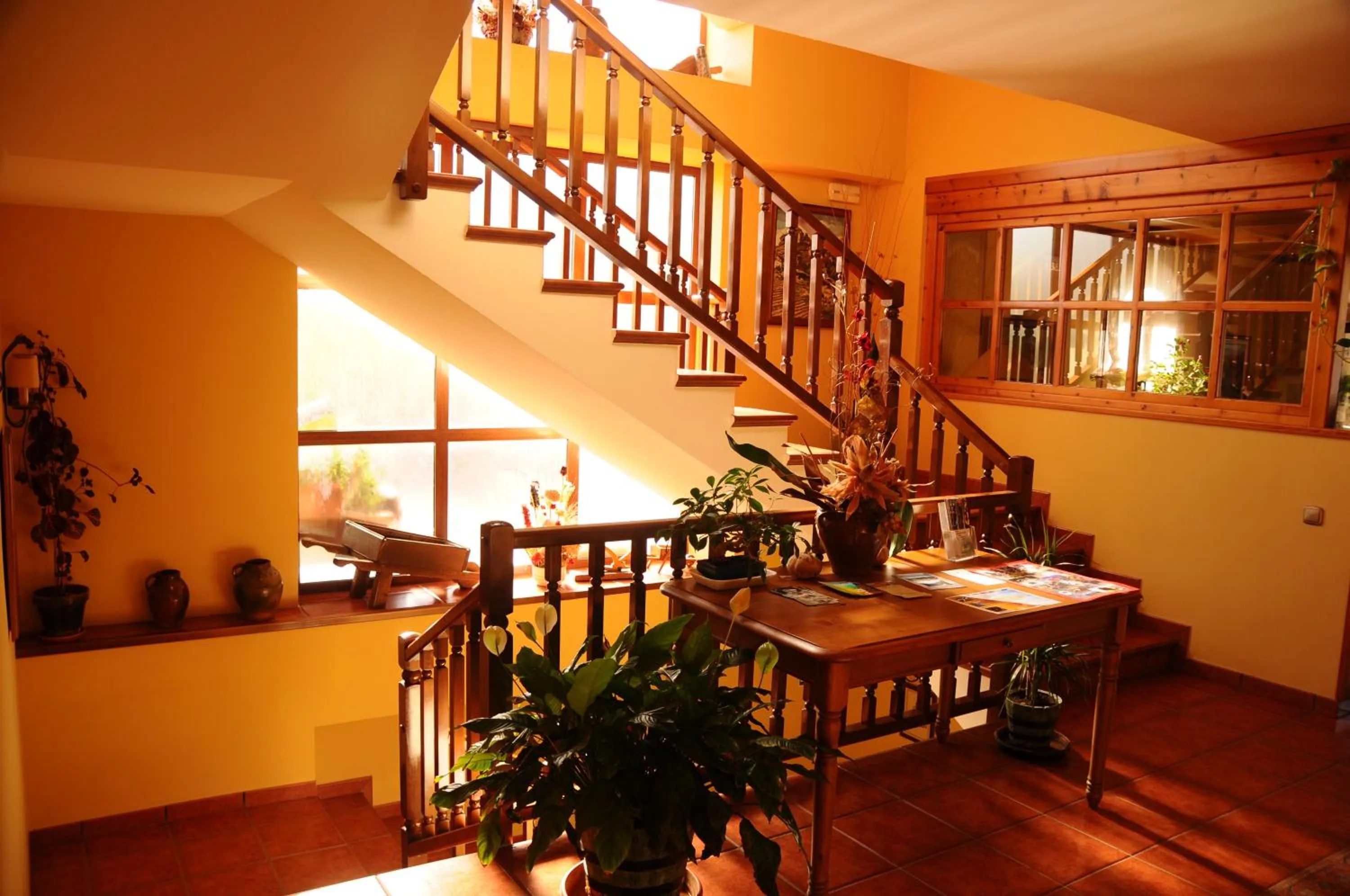 Area and facilities in Hotel Arnal