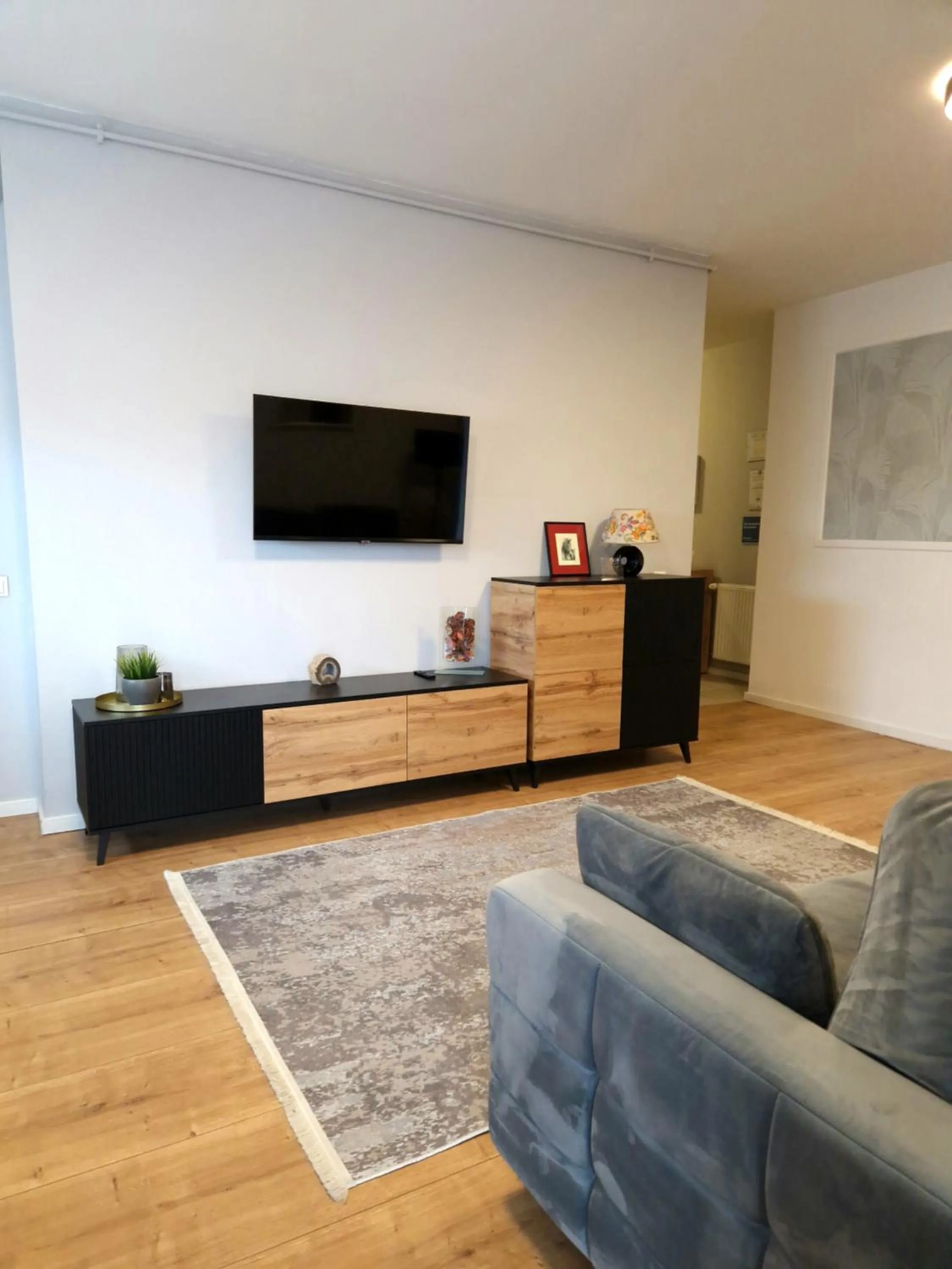 TV and multimedia in City Apartment Dorobantilor