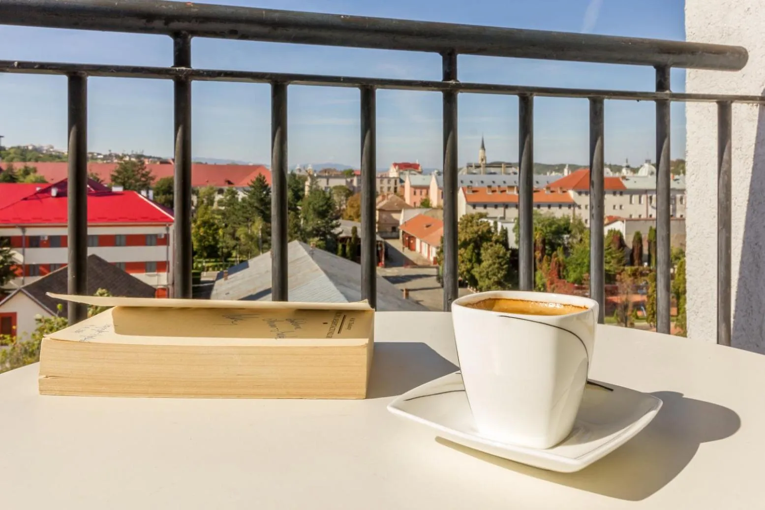 Day in City Apartment Dorobantilor