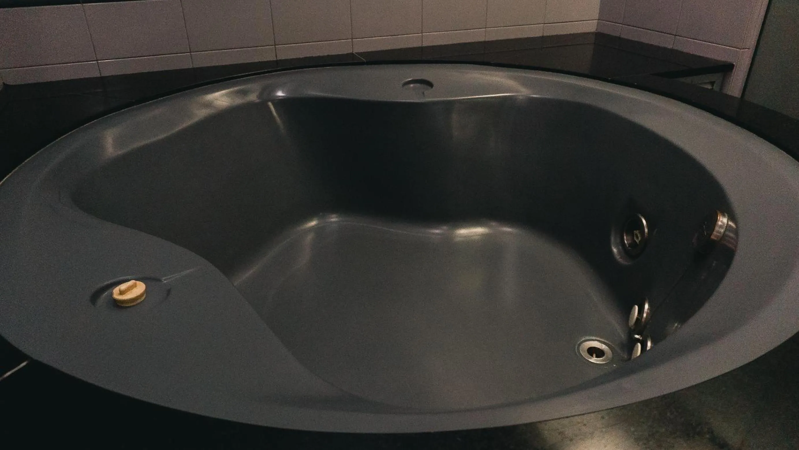 Bathroom in Hotel Nikko