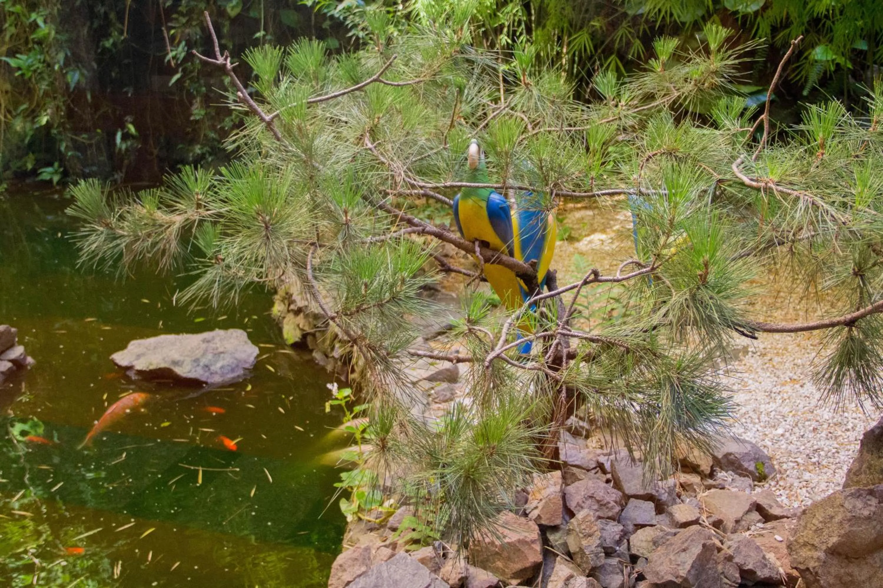 Natural landscape in Hotel Nikko