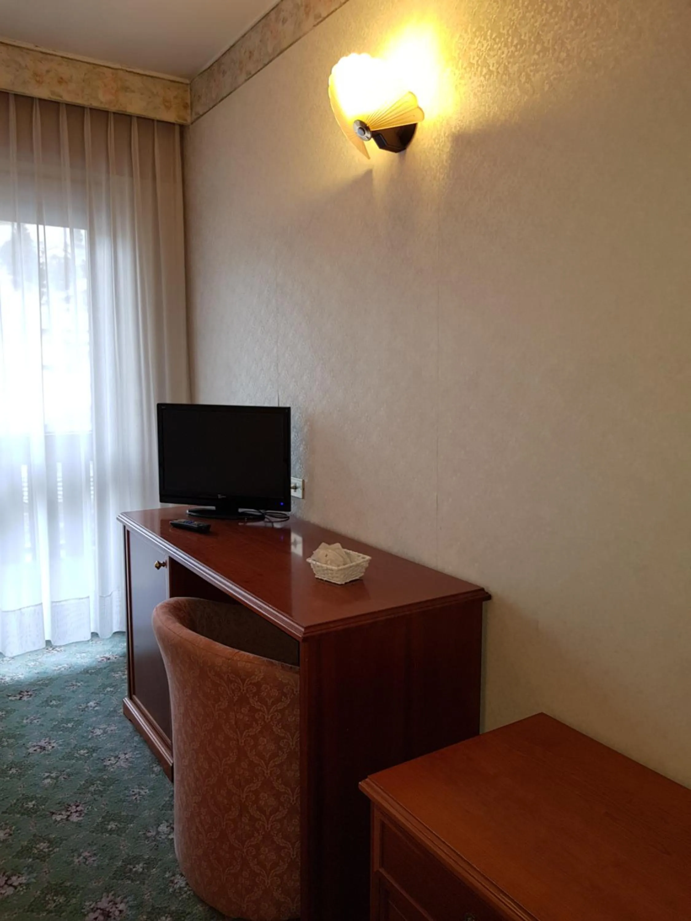 TV and multimedia in Hotel Moena