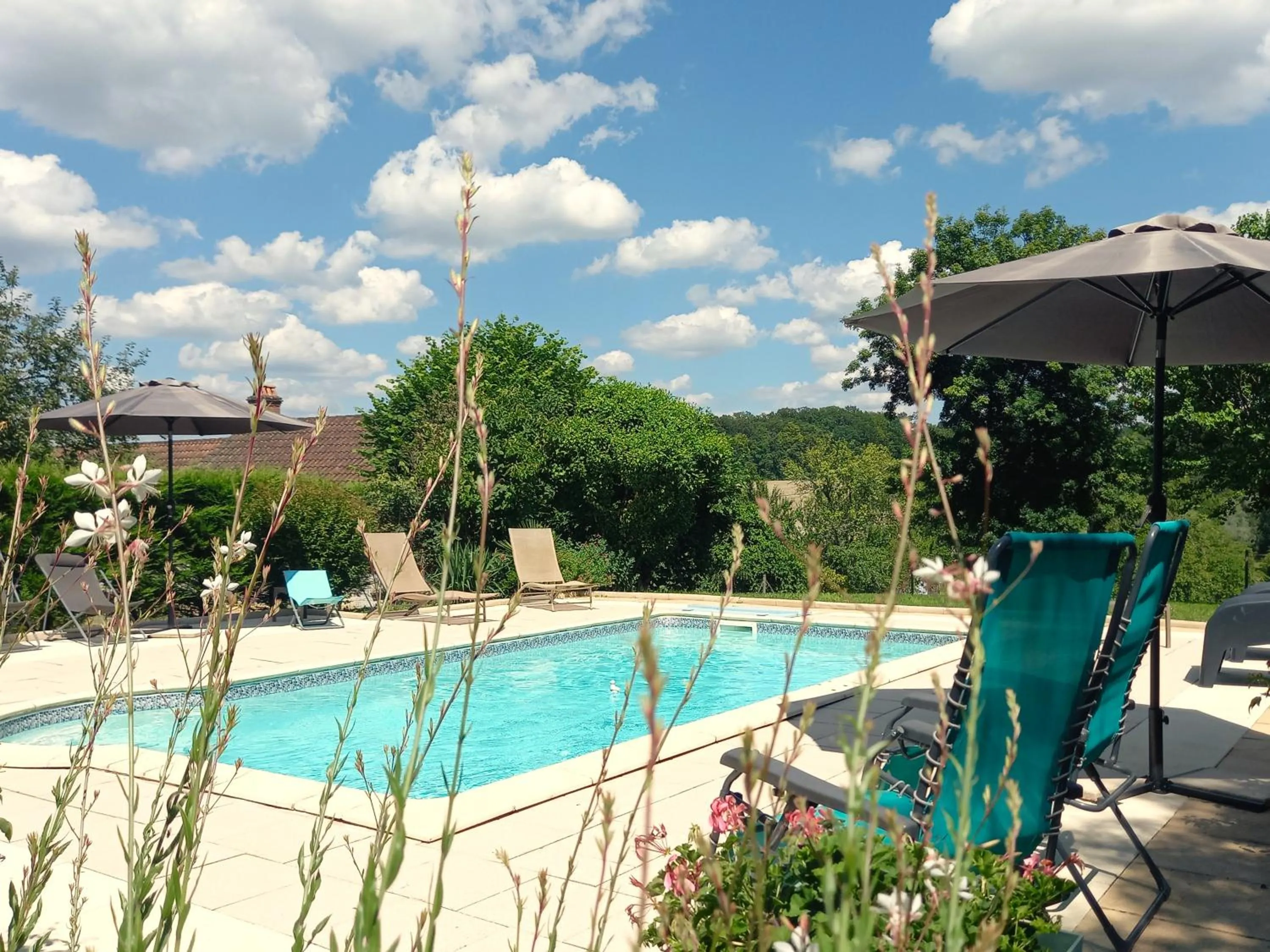 Swimming pool in Au pays de Jacquou : Chambre d’hôtes et table d’hôtes