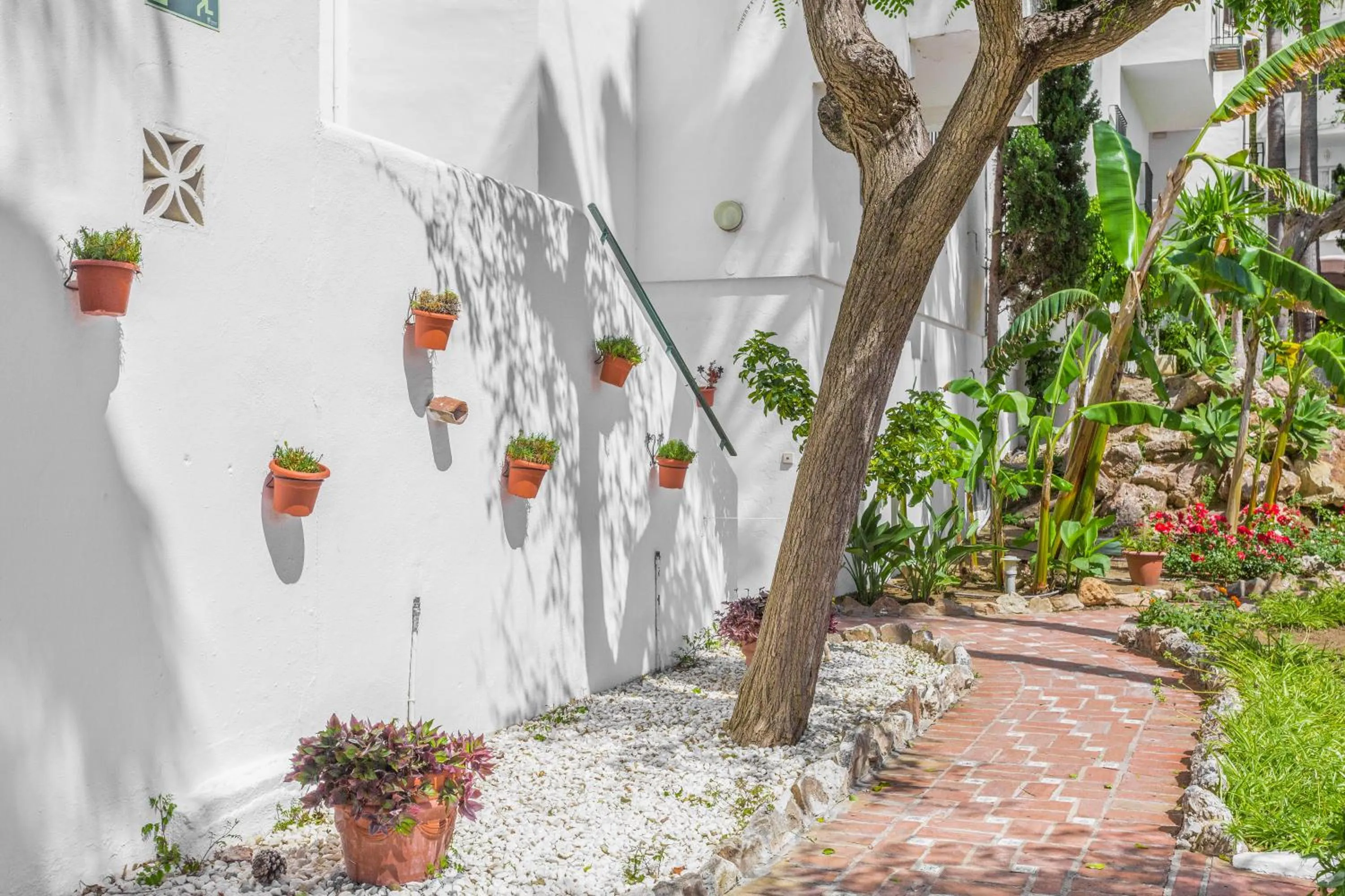 Garden in Royal Oasis Club at Pueblo Quinta