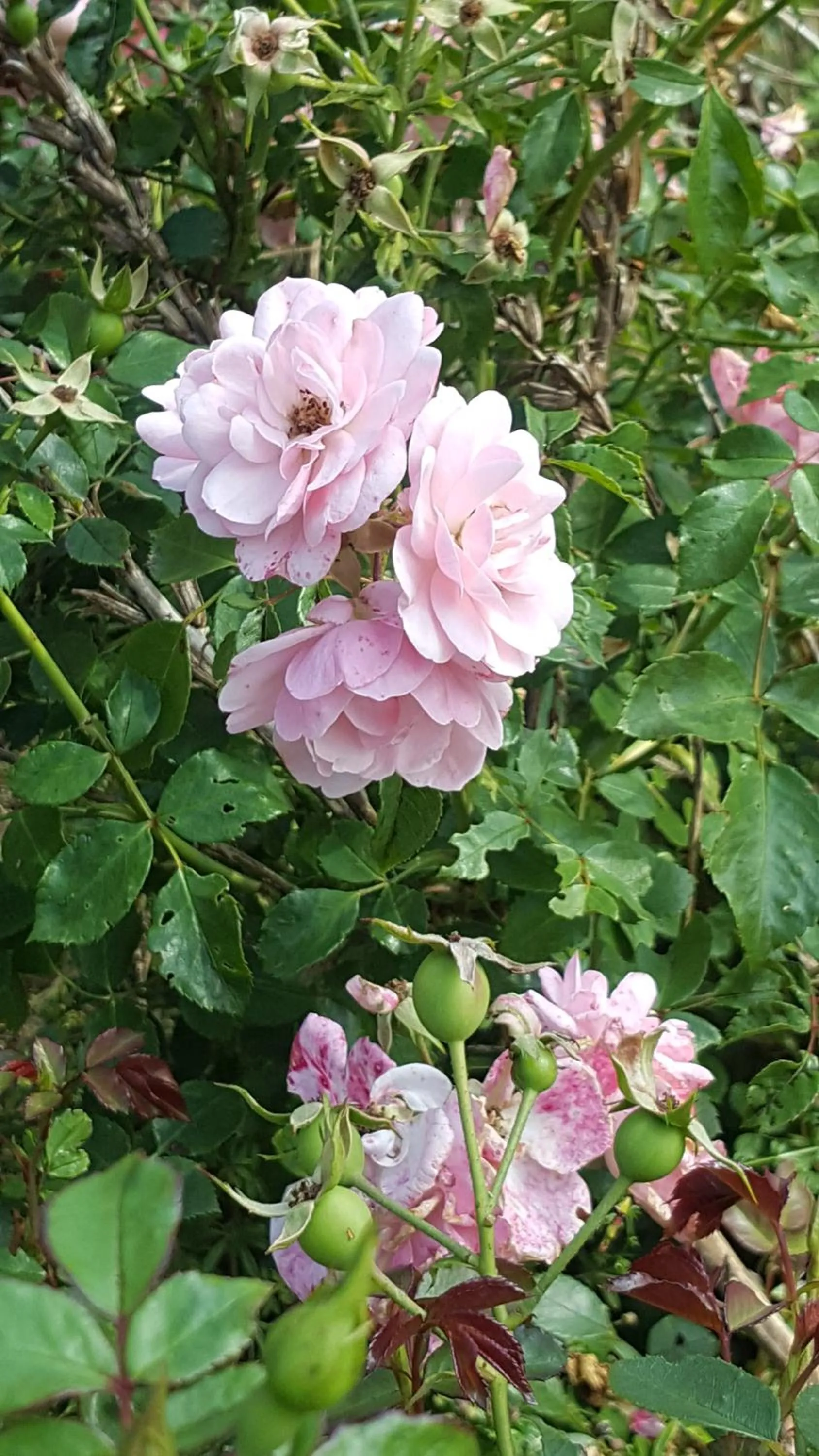 Other in JamieK's BnB