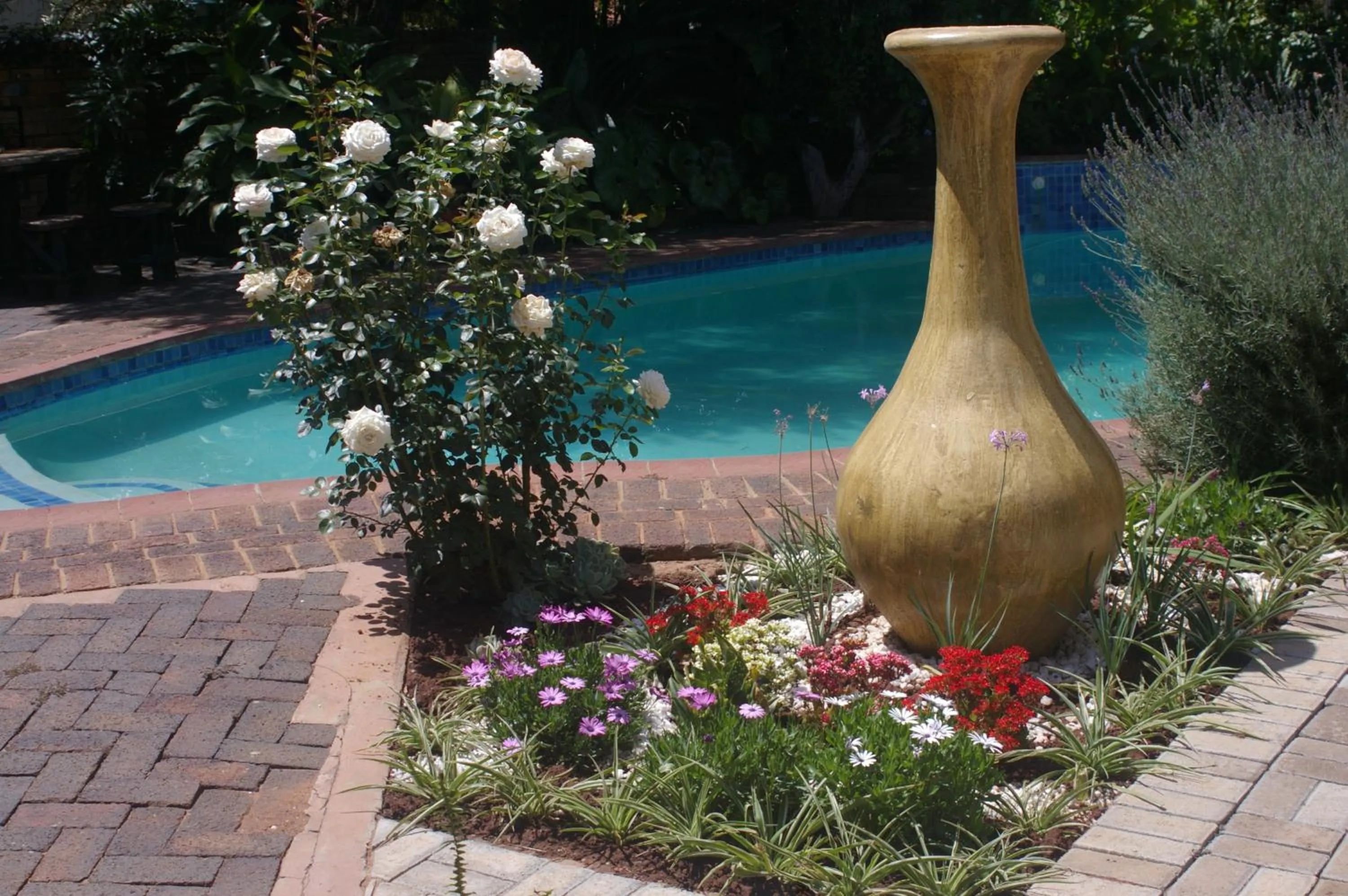 Garden in Ukarimu Guest House