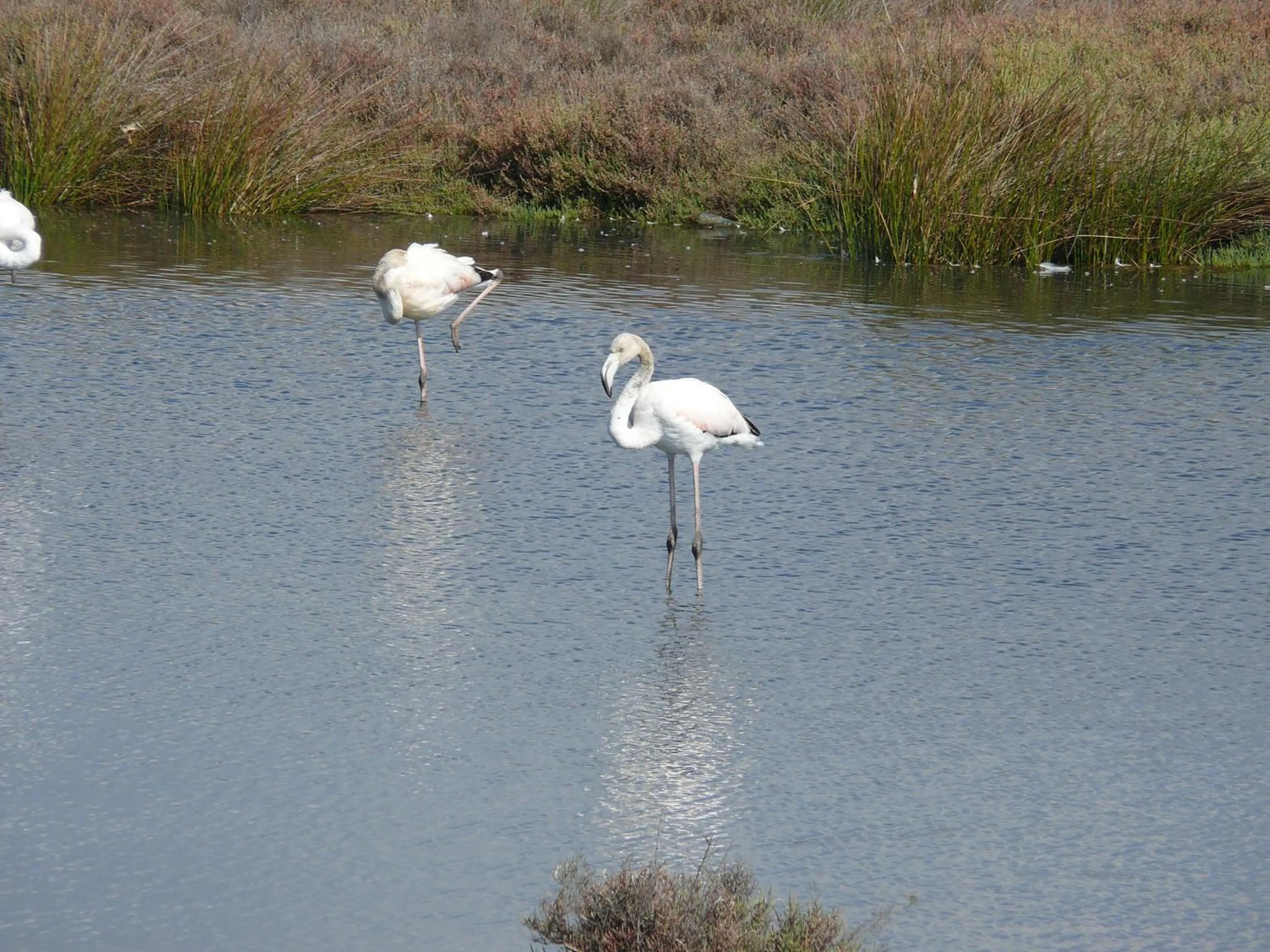 Neighbourhood in Happy House