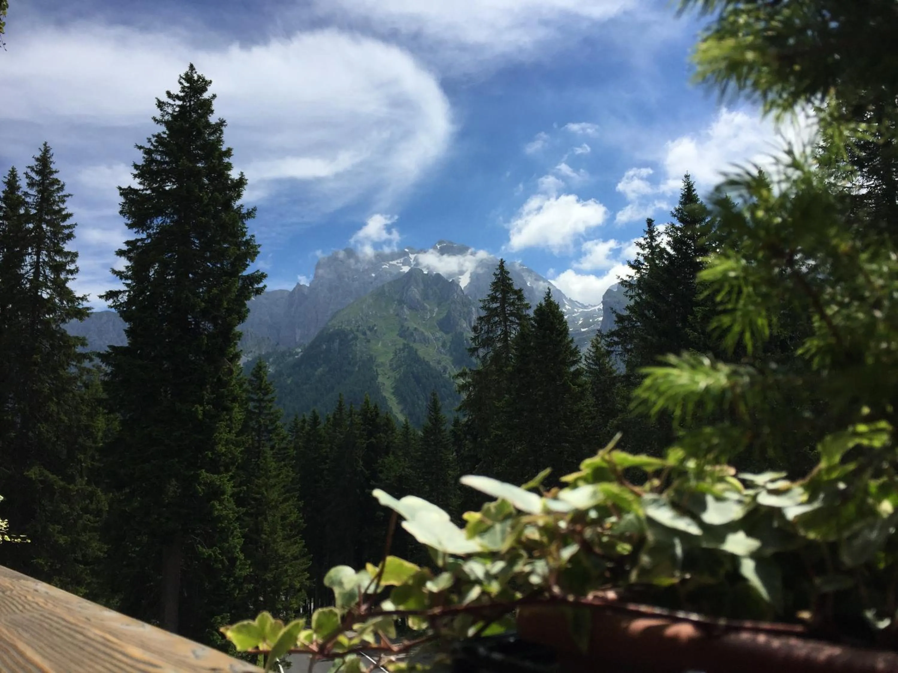 Spring in Maribel Hotel