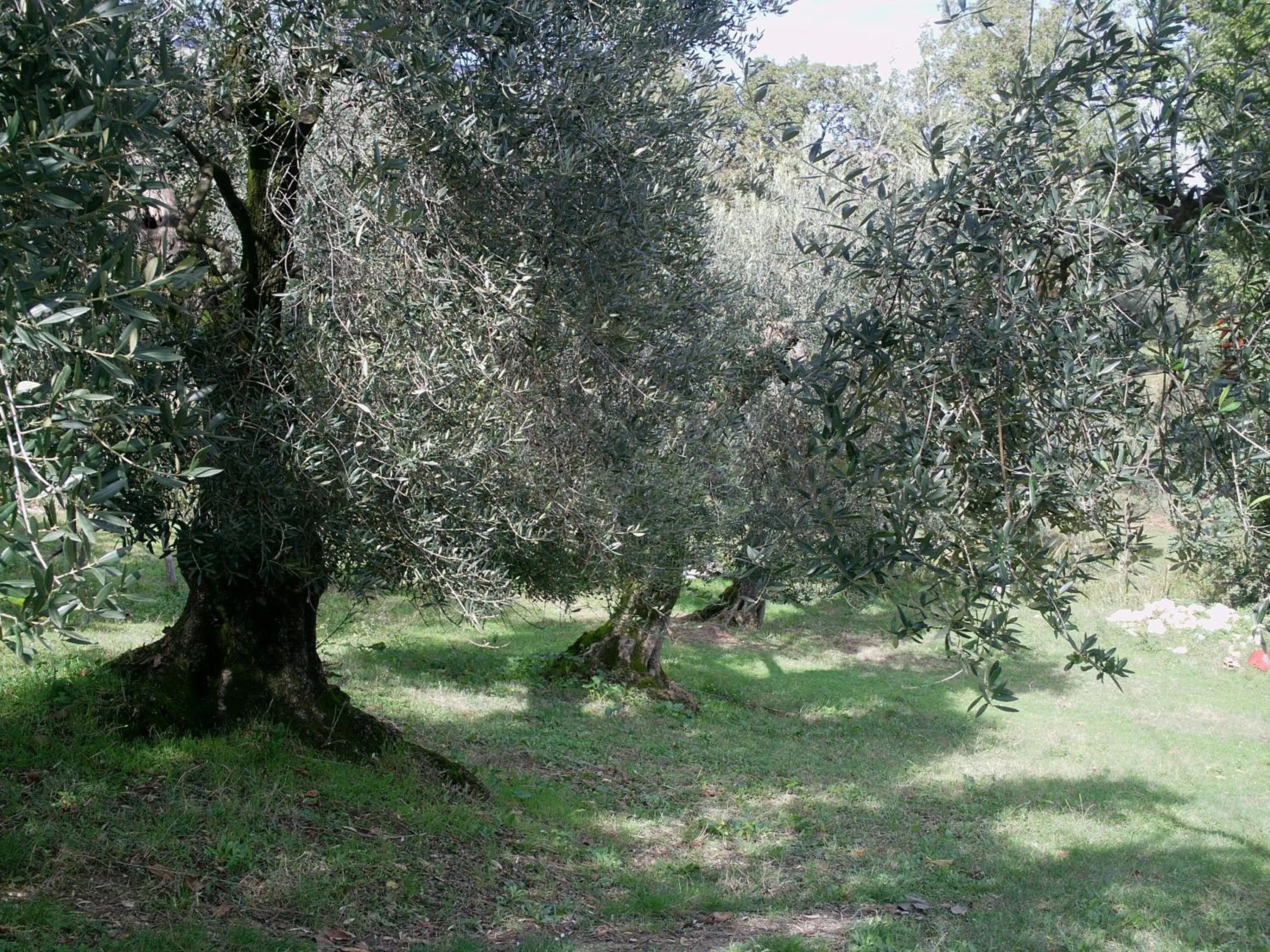 Property building in B&B Da Mariella