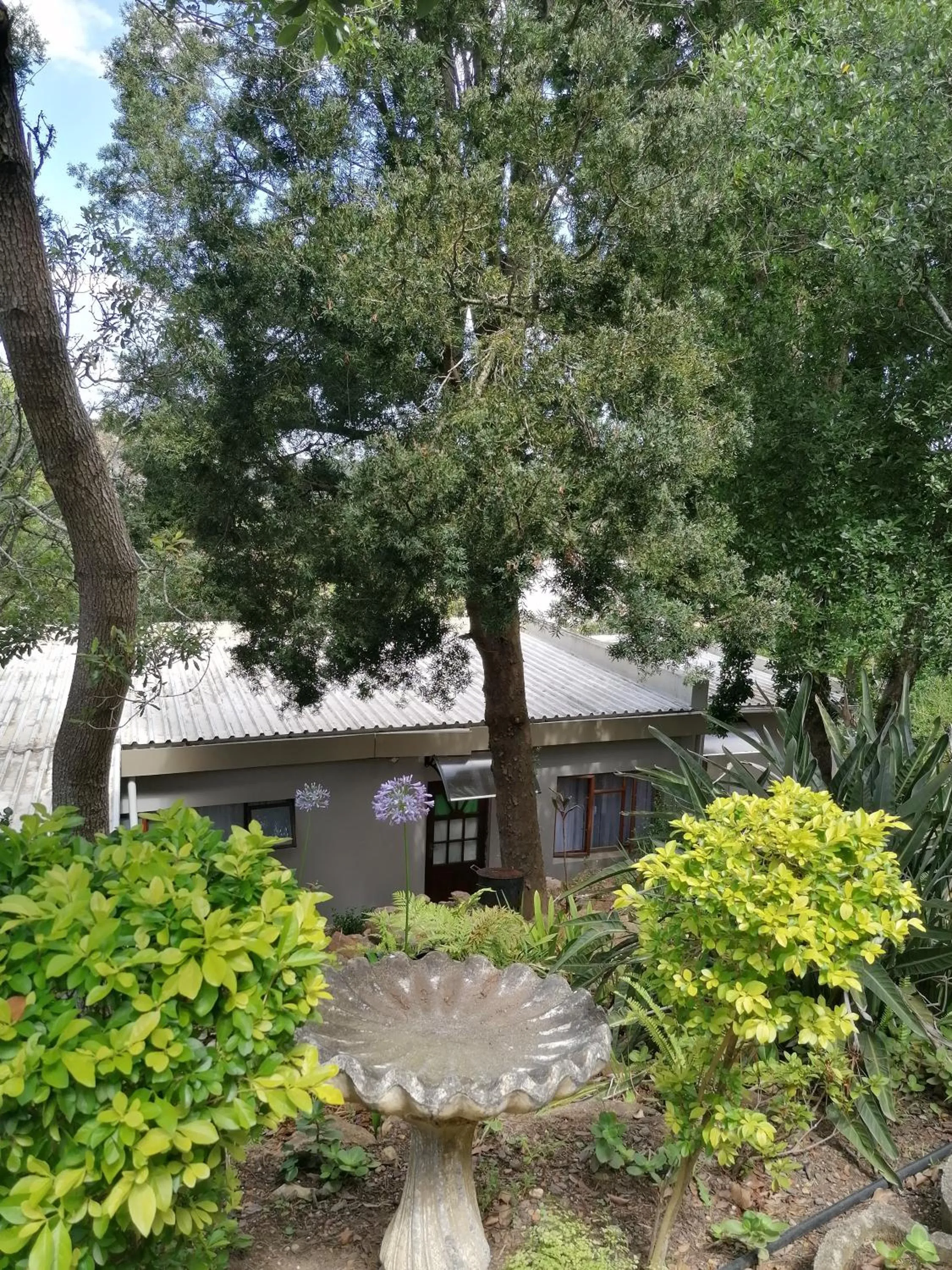 View (from property/room) in Aanhuizen Guest House