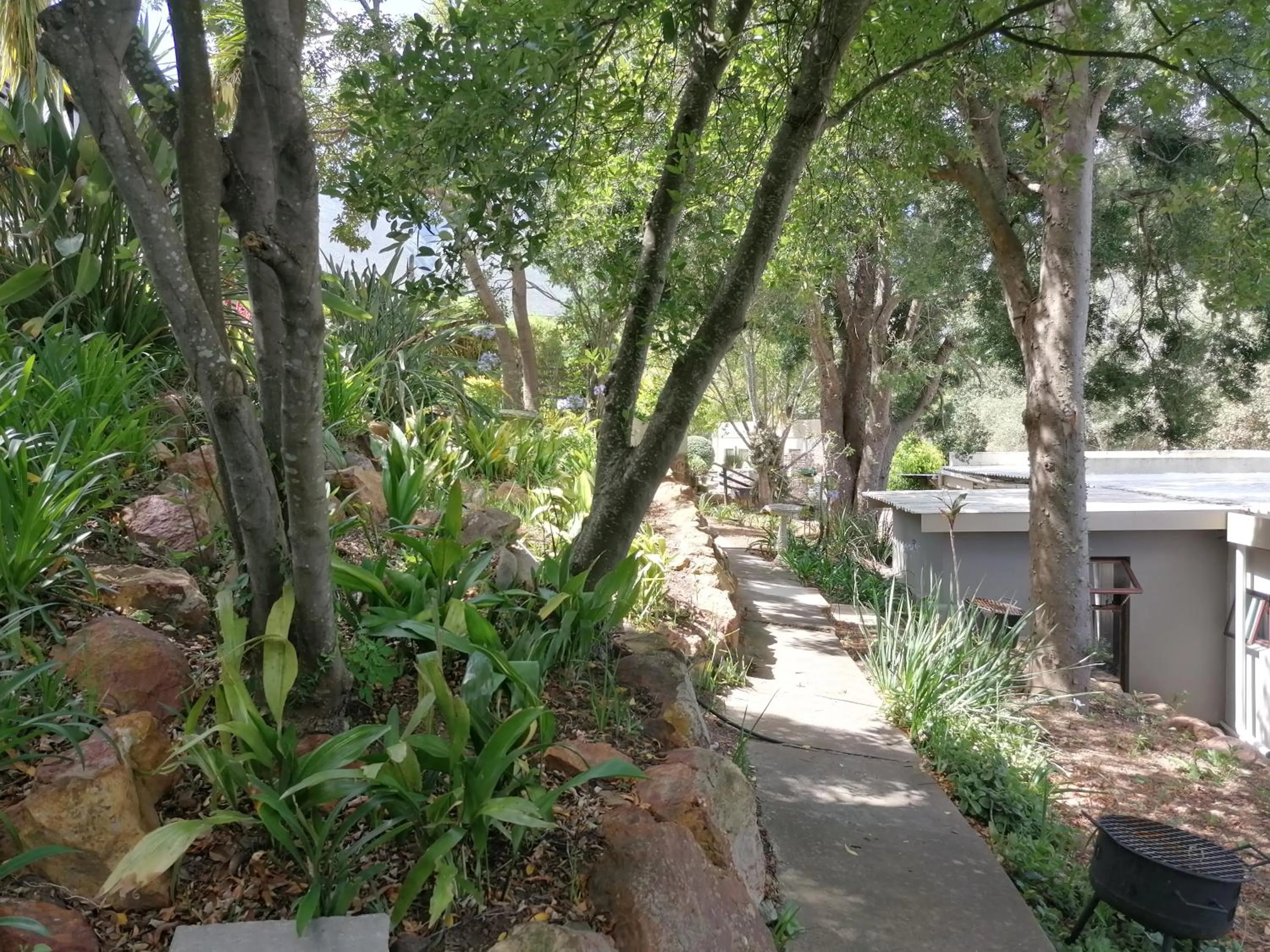 Garden view in Aanhuizen Guest House