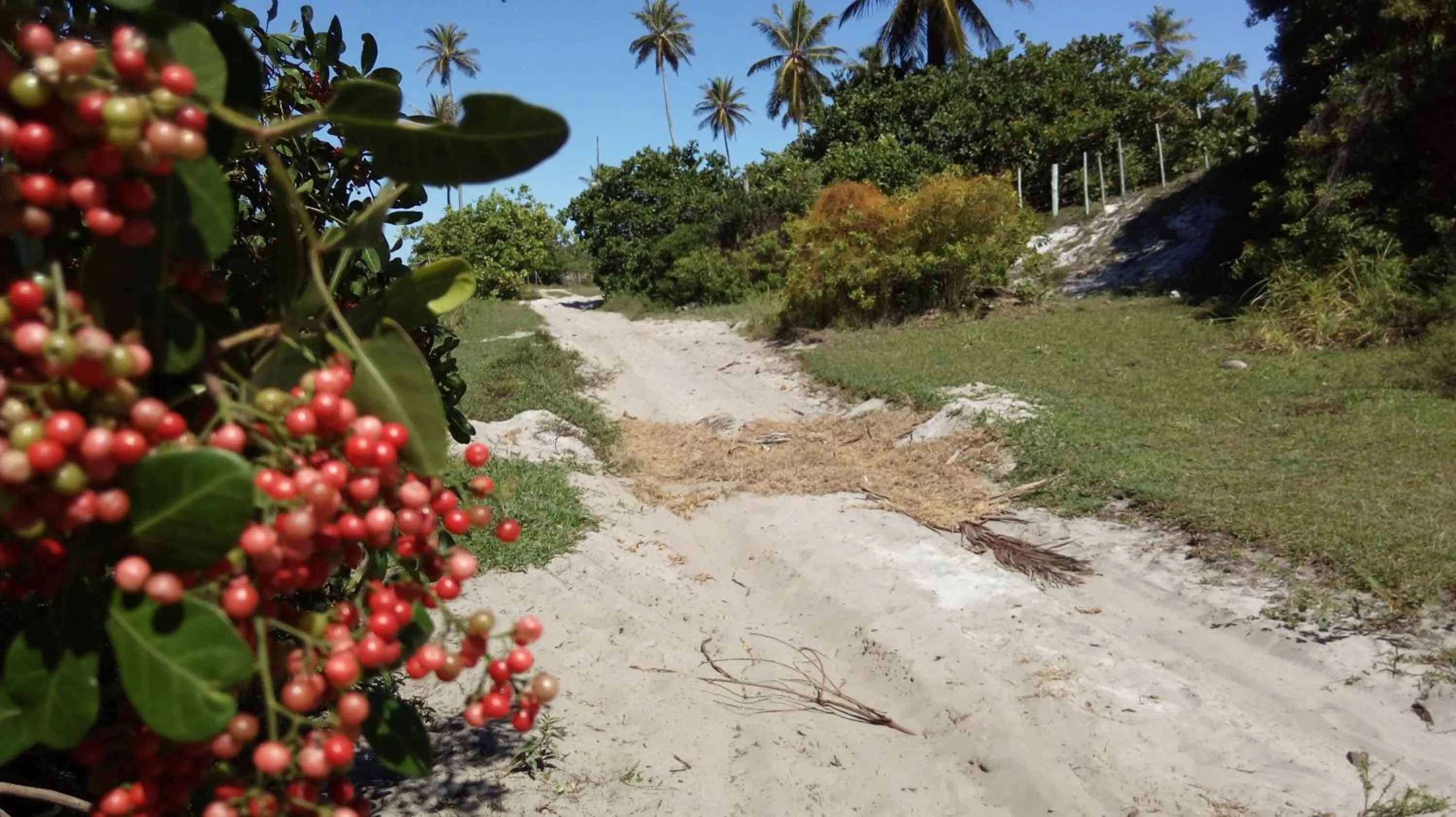 Natural landscape in Encantos Pousada