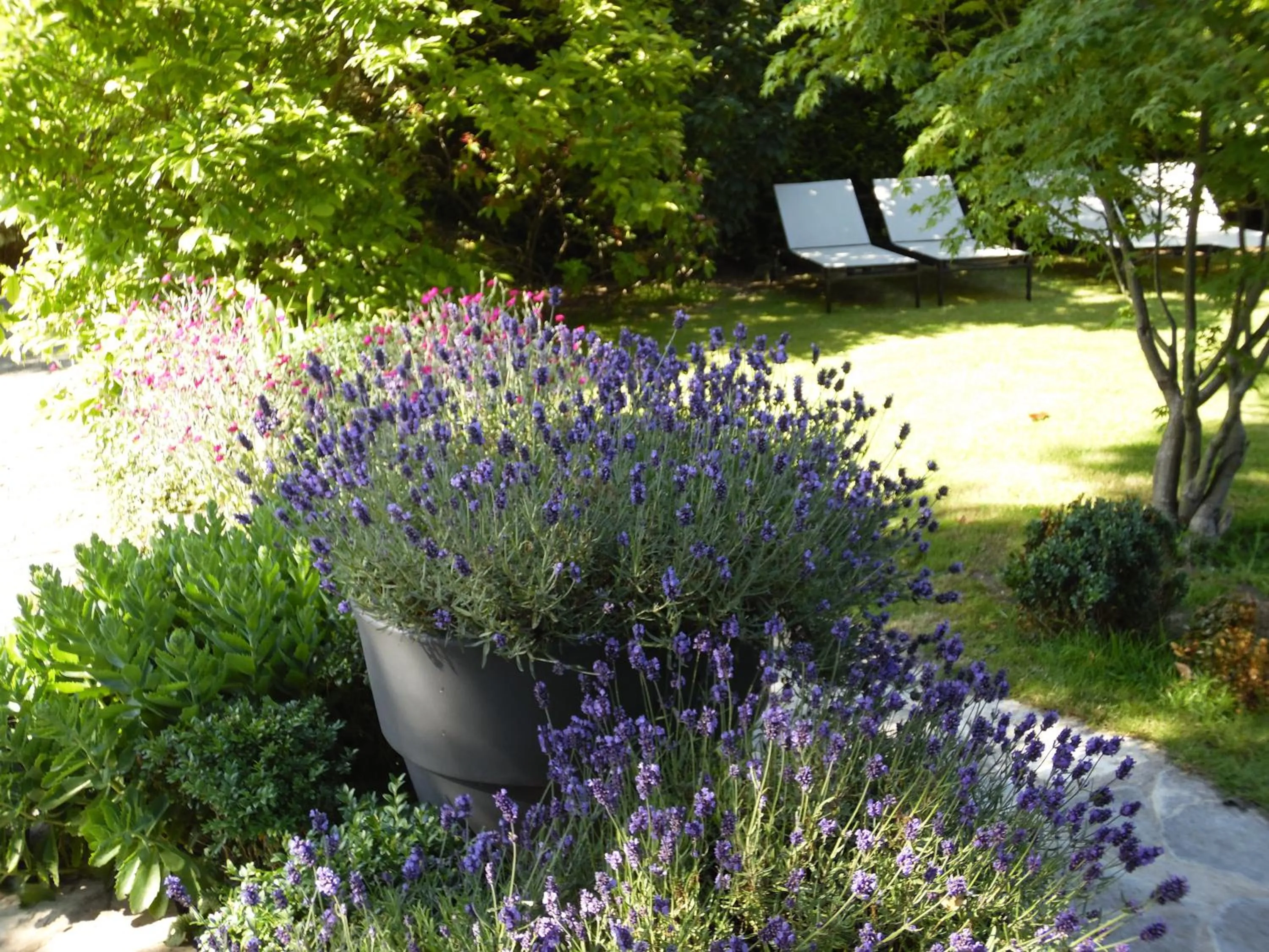 Garden in Bed & Breakfast La Clepsydre