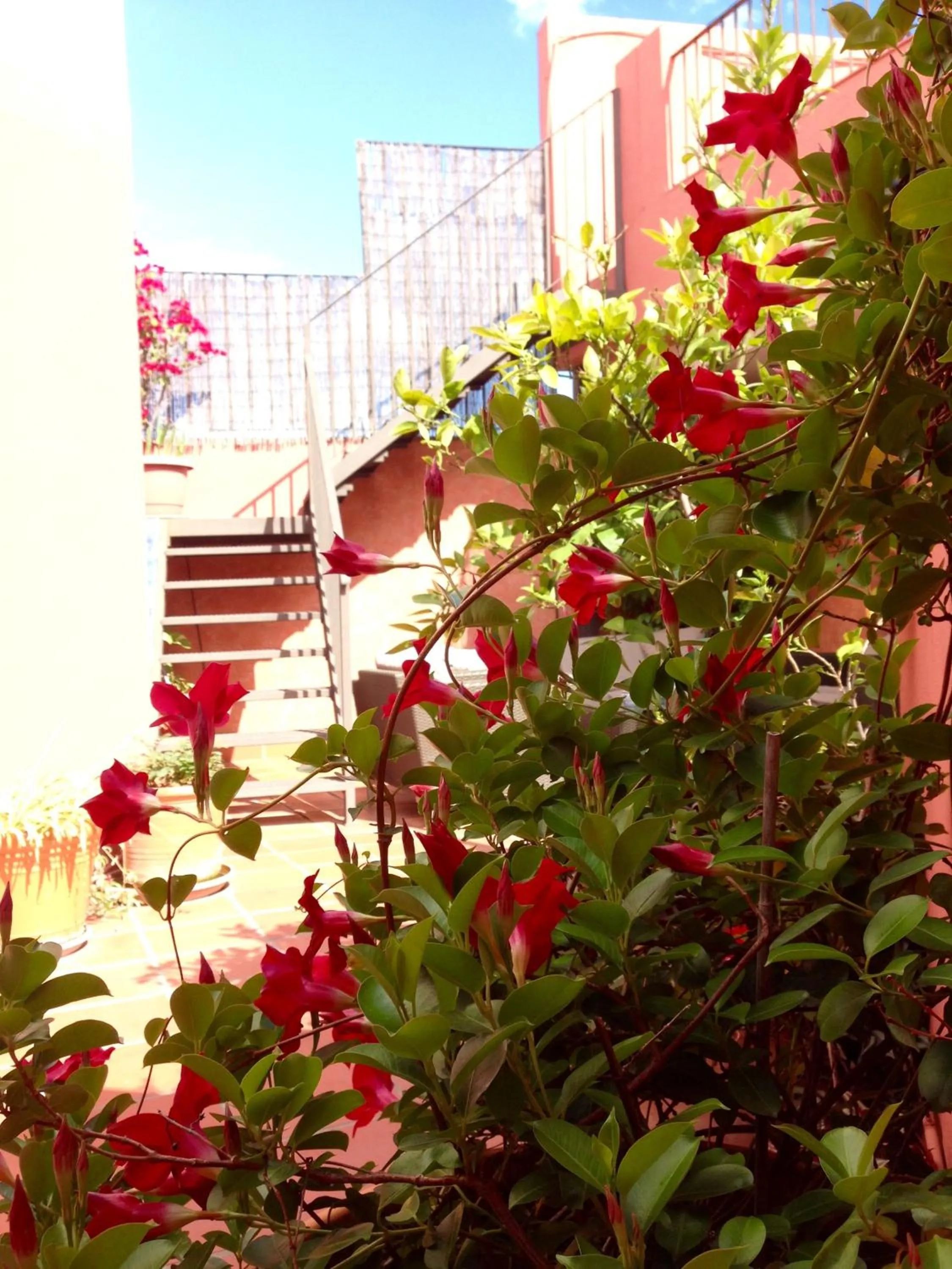 Balcony/Terrace in Hotel Conde de Cárdenas