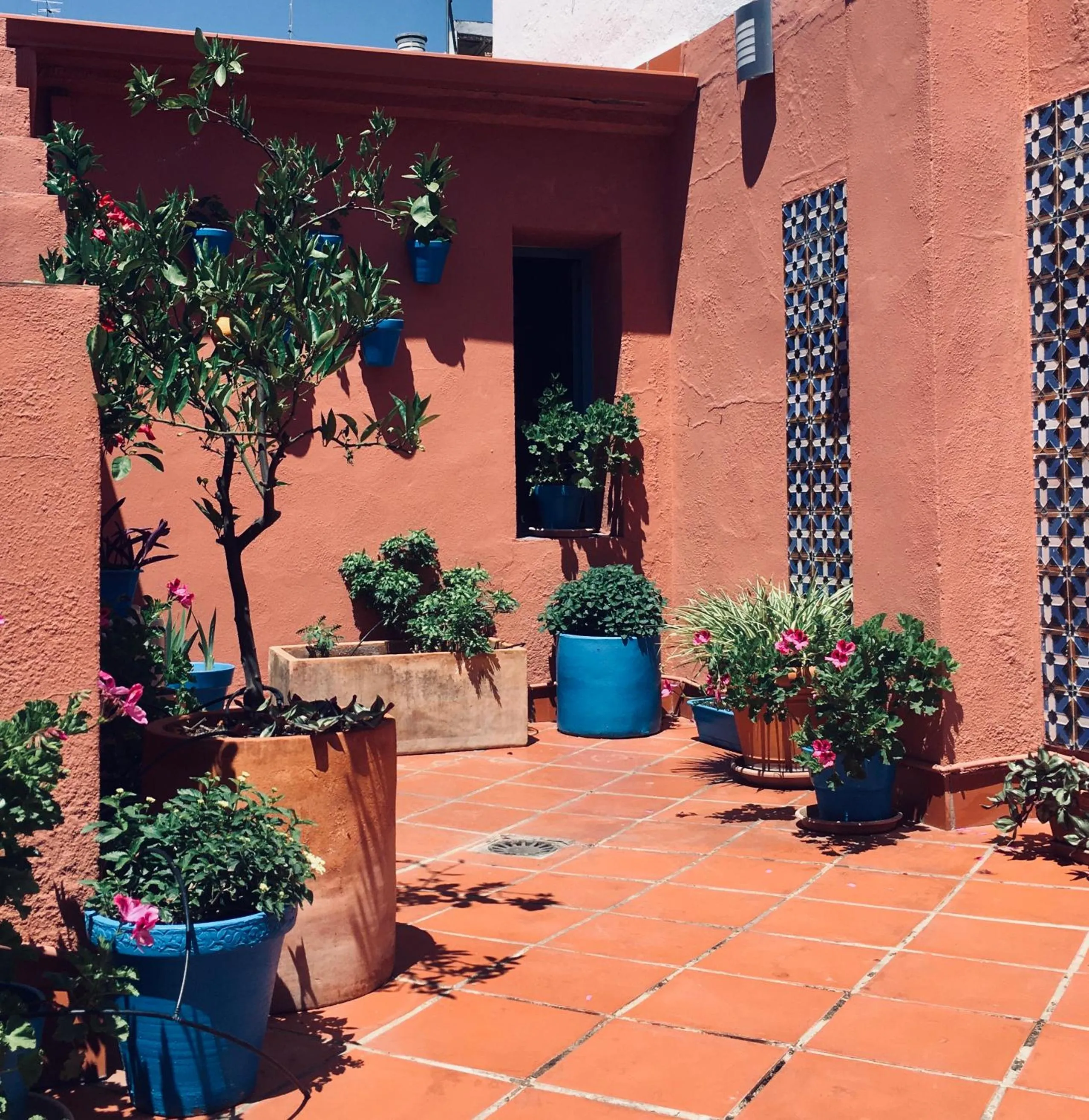 Garden view in Hotel Conde de Cárdenas