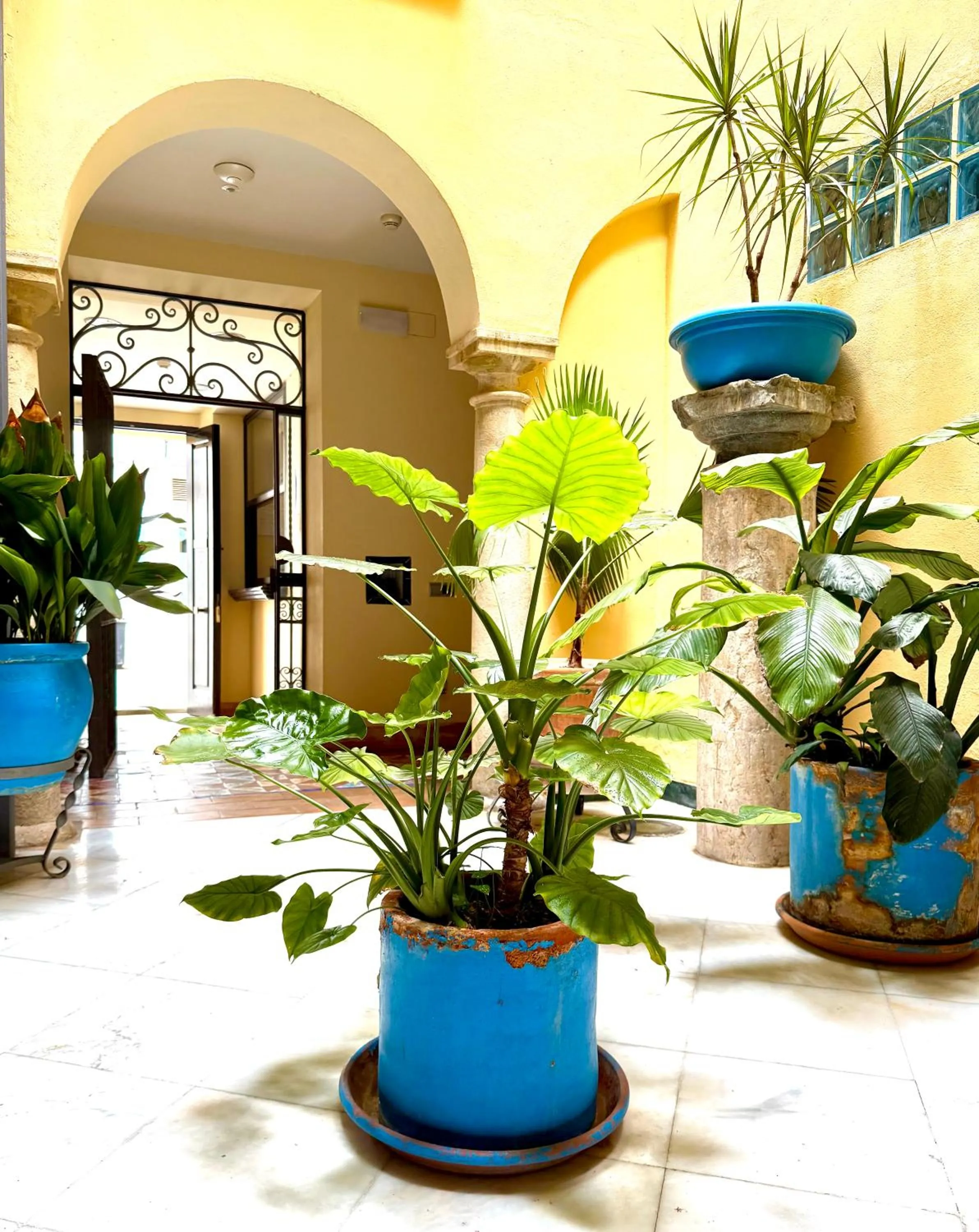 Garden in Hotel Conde de Cárdenas