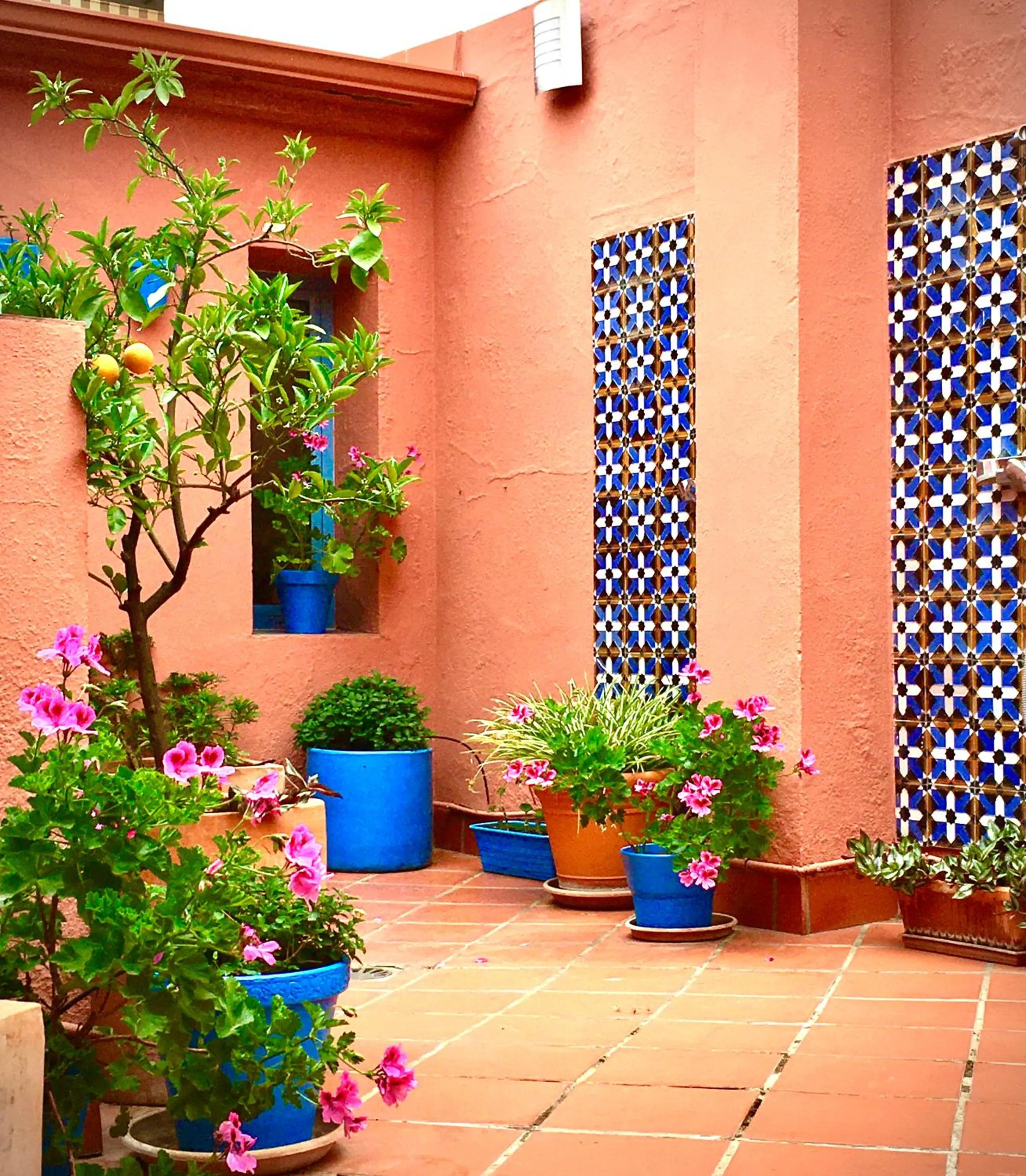 Garden in Hotel Conde de Cárdenas