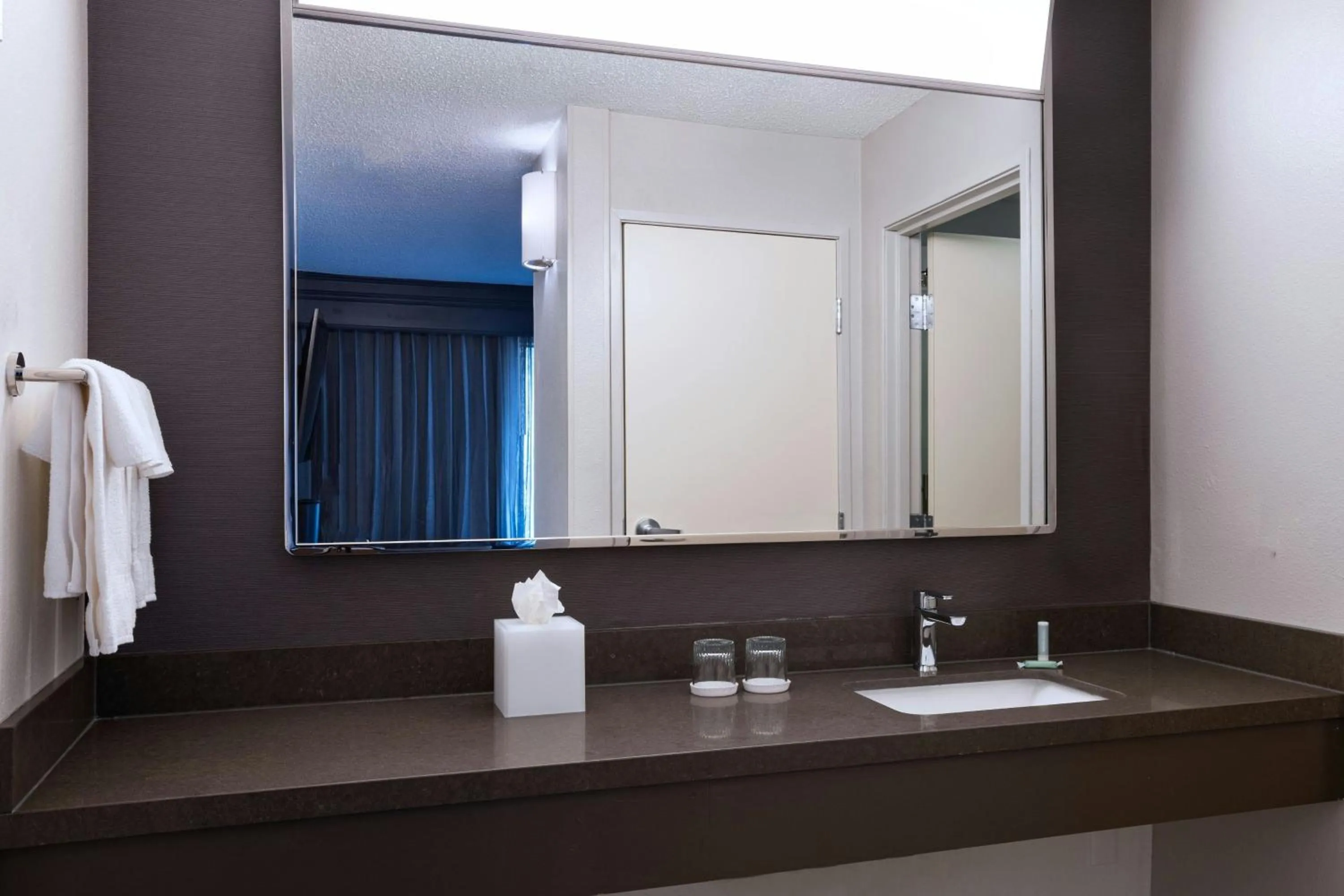 Bathroom in Courtyard Houston The Woodlands