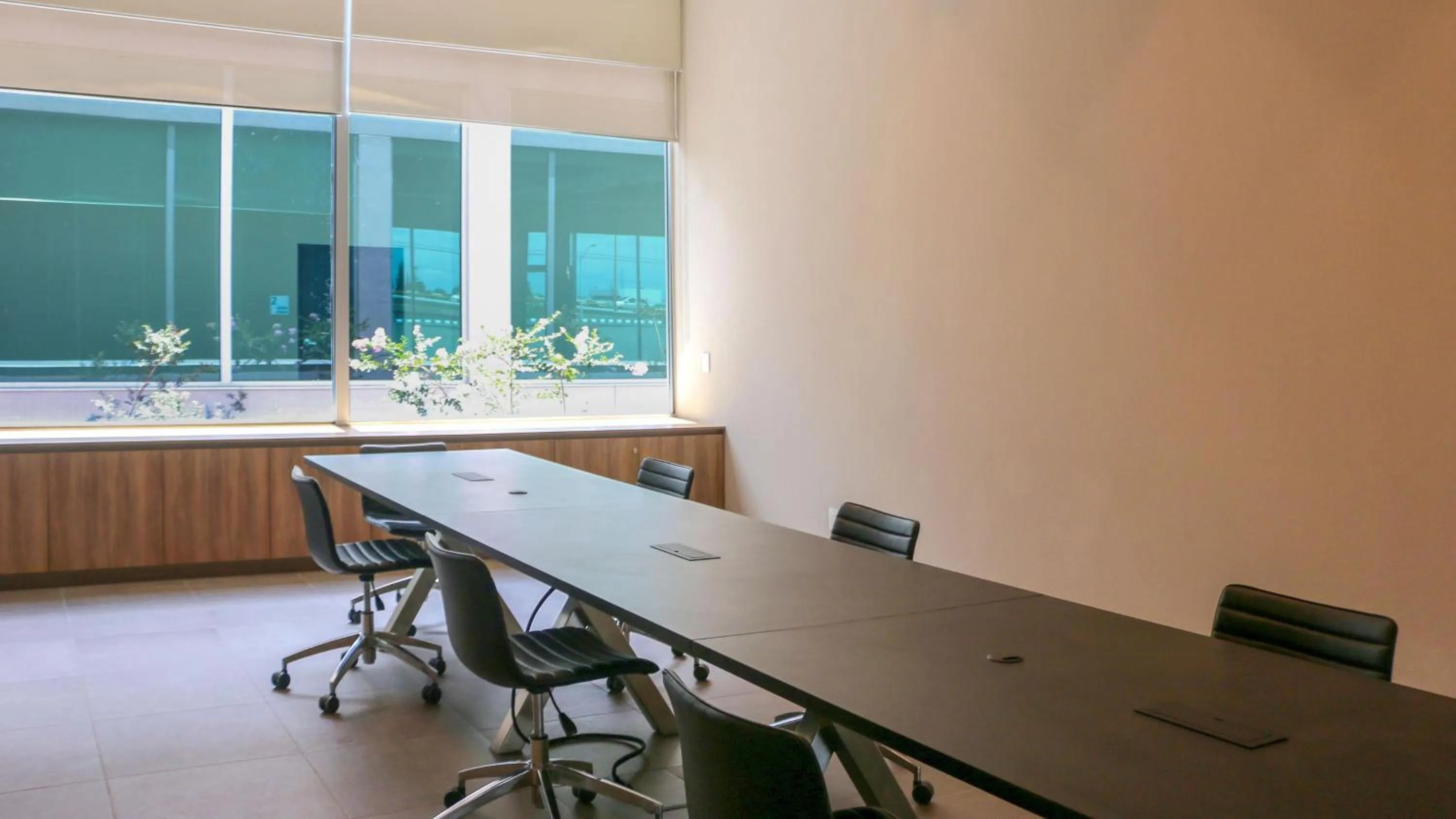 Meeting/conference room in Holiday Inn San Luis Potosi-Quijote by IHG