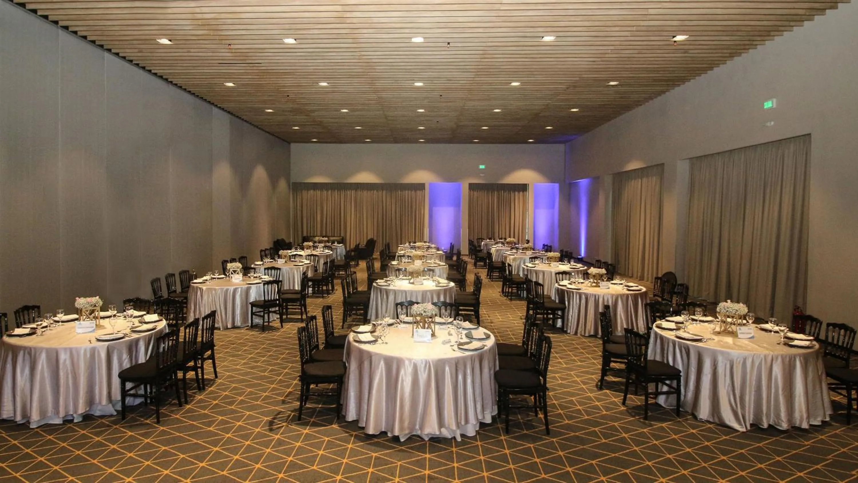 Meeting/conference room in Holiday Inn San Luis Potosi-Quijote by IHG