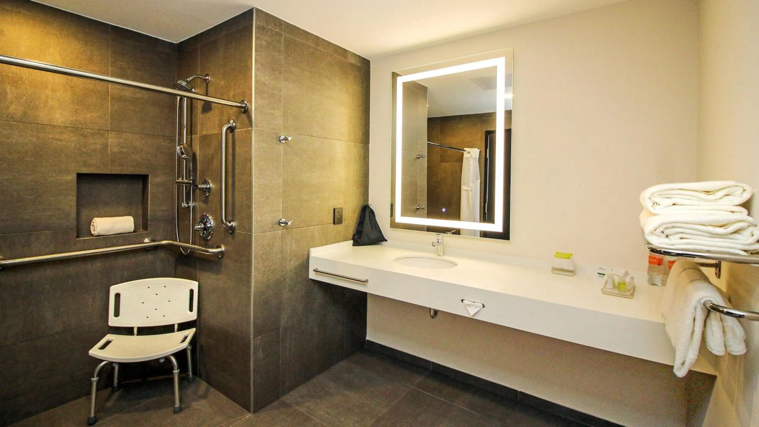 Bathroom in Holiday Inn San Luis Potosi-Quijote by IHG