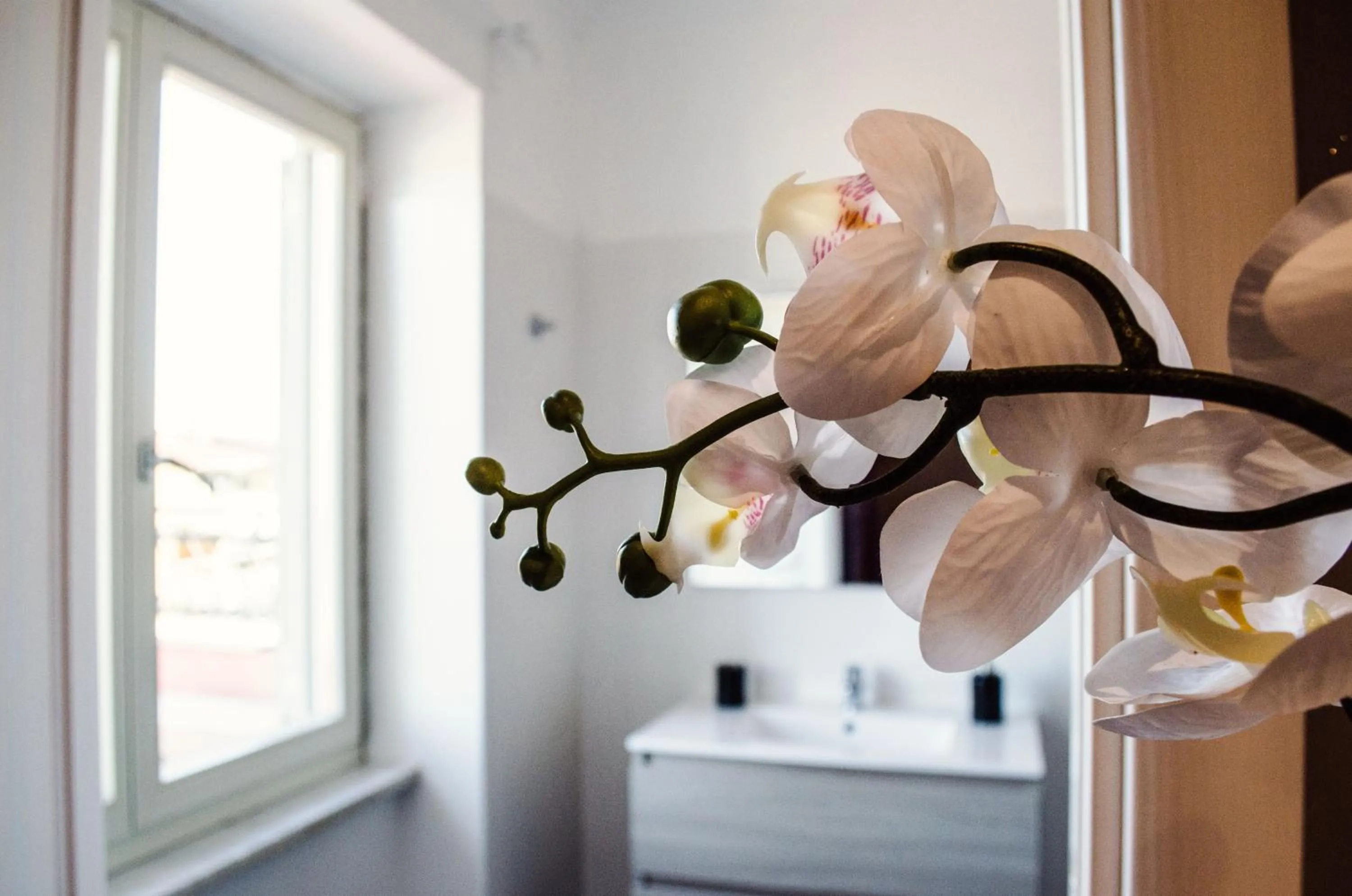 Bathroom in Villa Erasi