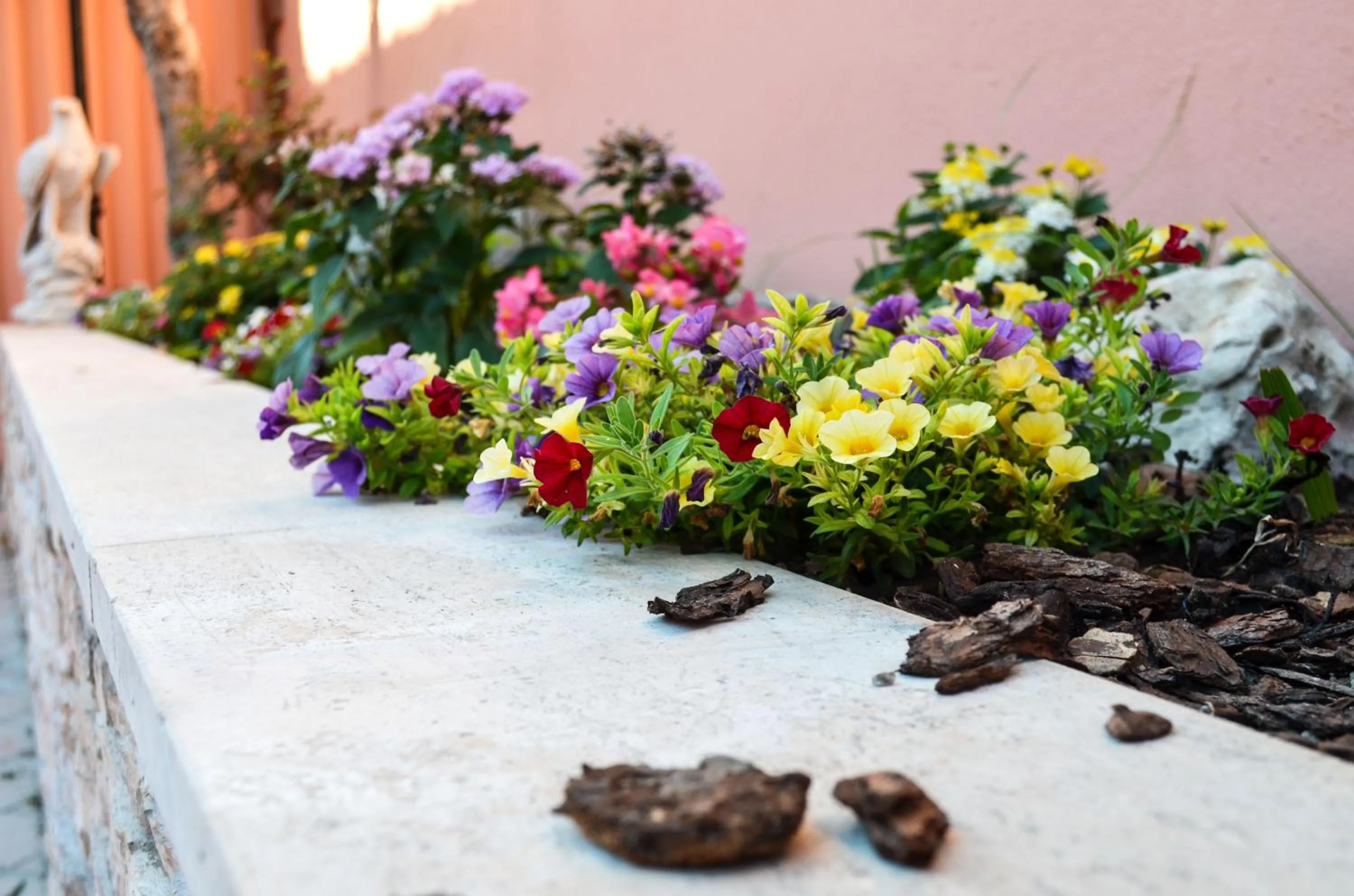 Garden in Villa Erasi