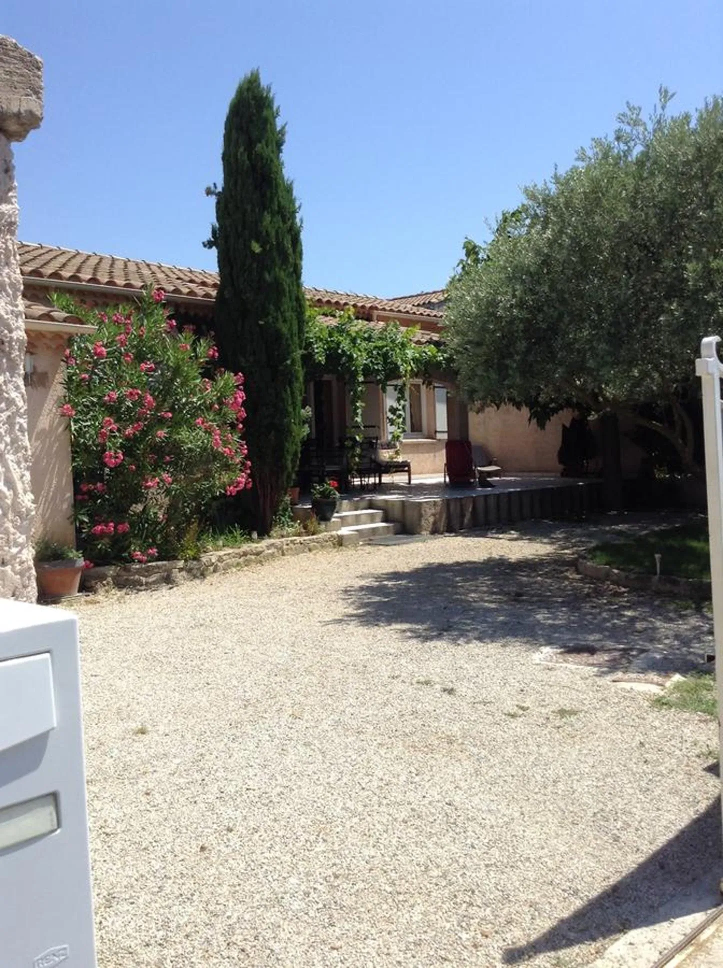 Garden in Villa hortensia