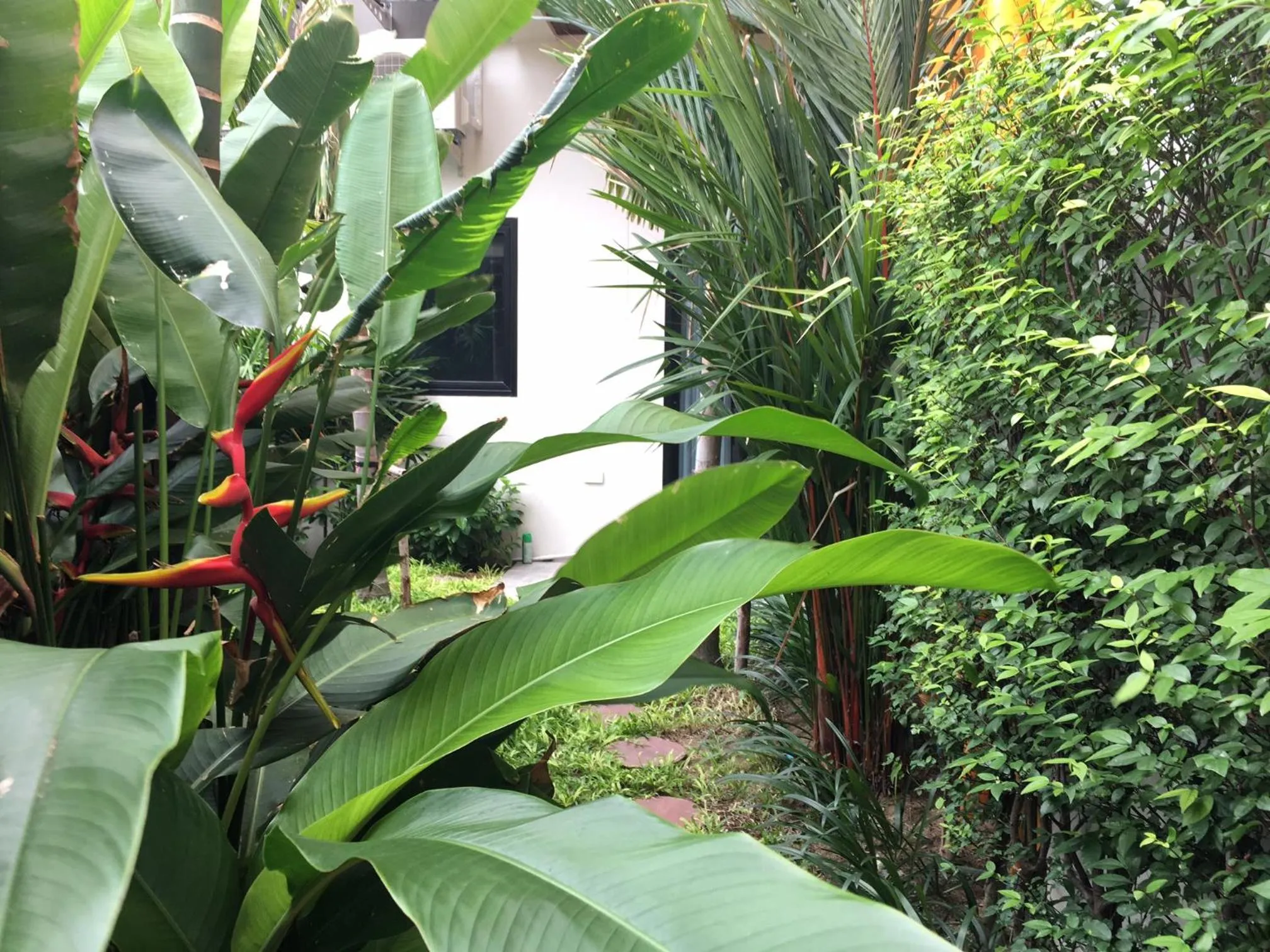 Garden in Tandeaw View