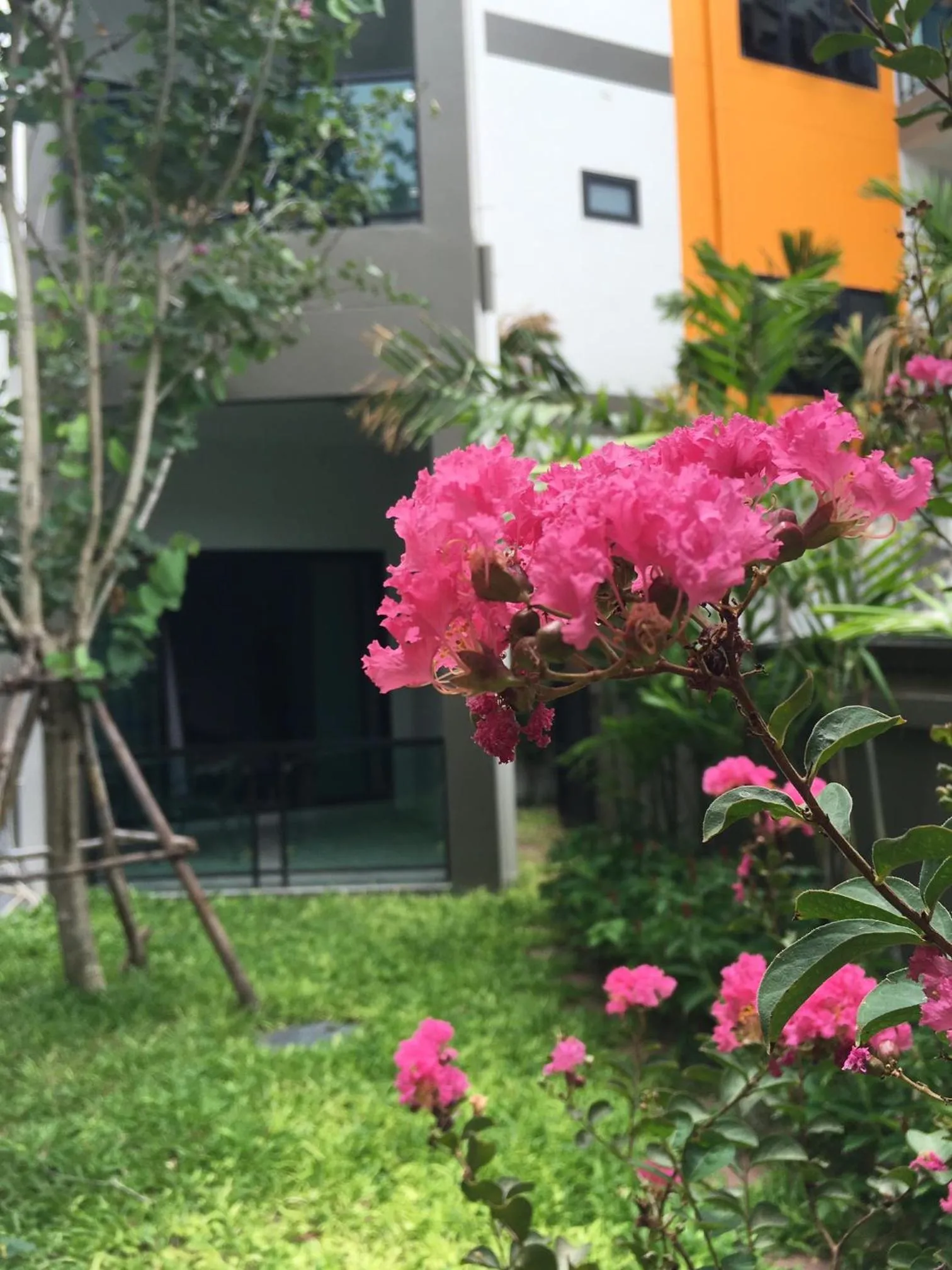 Facade/entrance in Tandeaw View