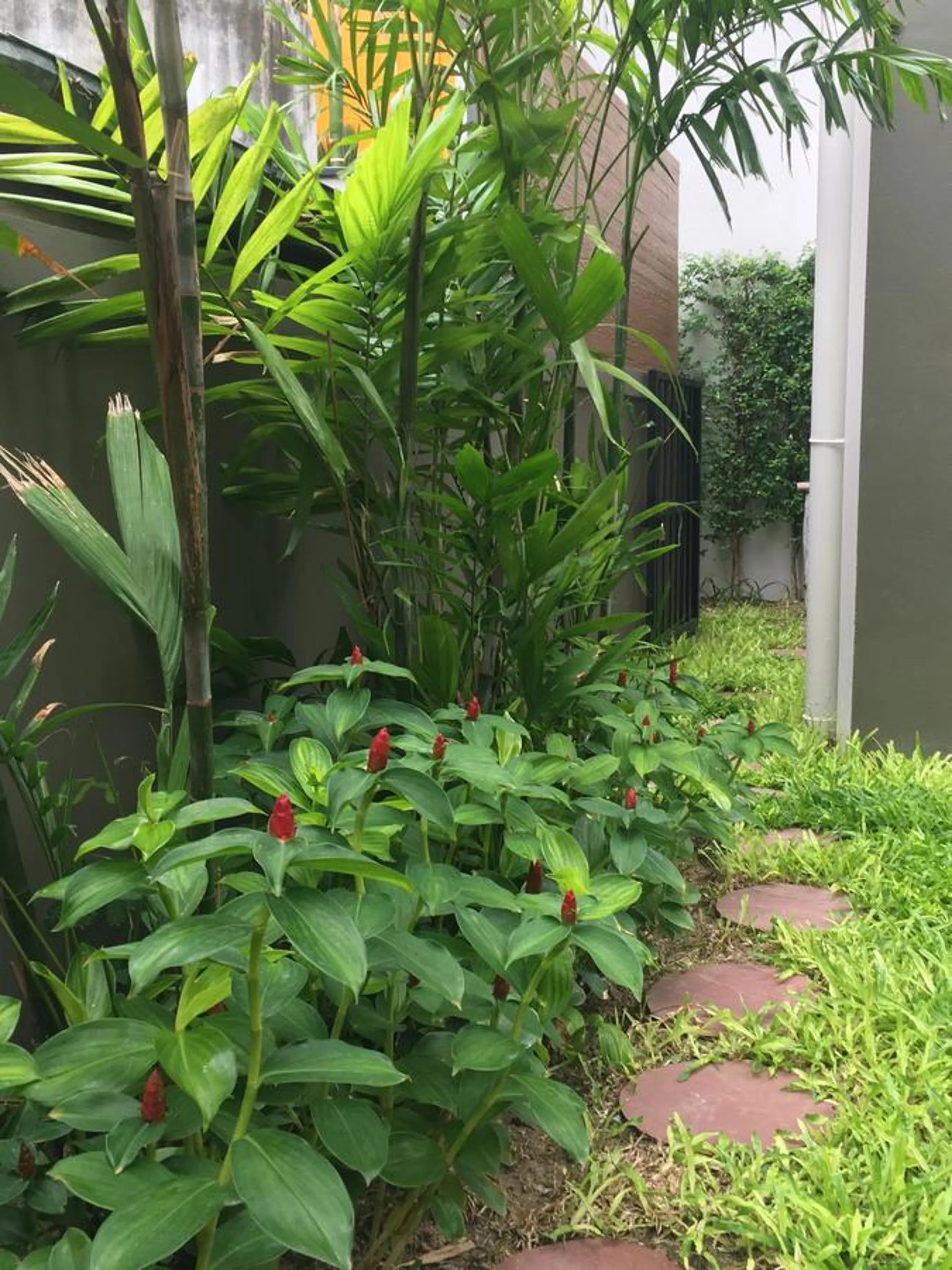 Garden in Tandeaw View