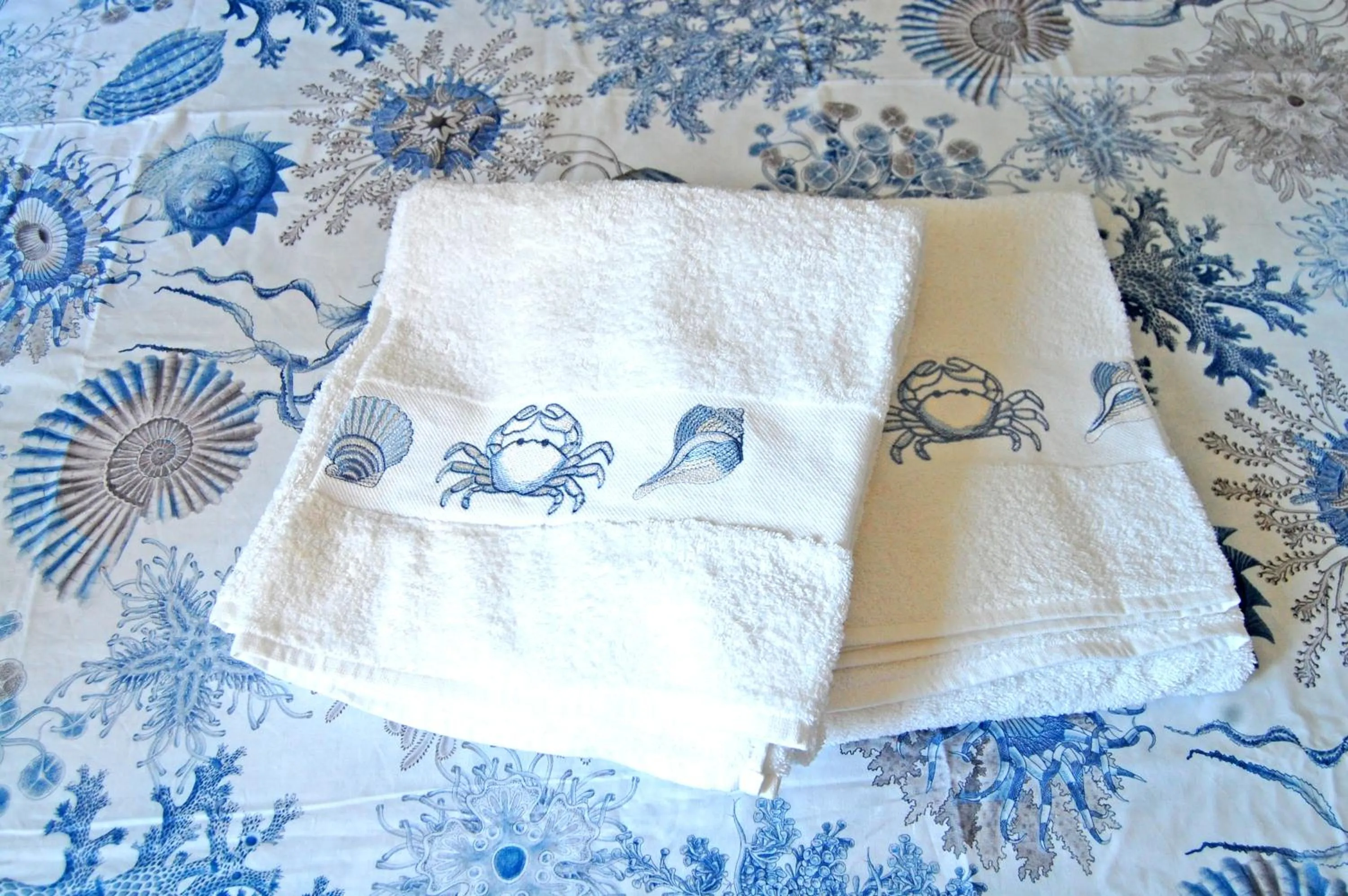 SeaBaudia 2 SENZA TERRAZZA