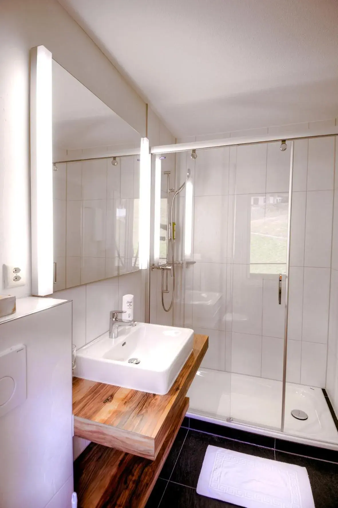 Single Room - single occupancy in Hotel Restaurant Alpina Single Room - single occupancy in Hotel Restaurant Alpina