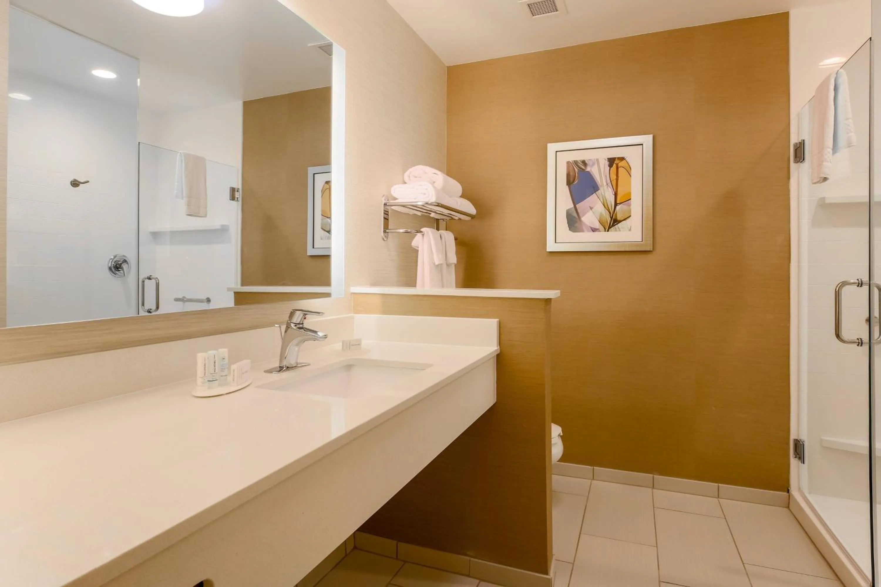 Bathroom in Fairfield Inn & Suites by Marriott Alexandria