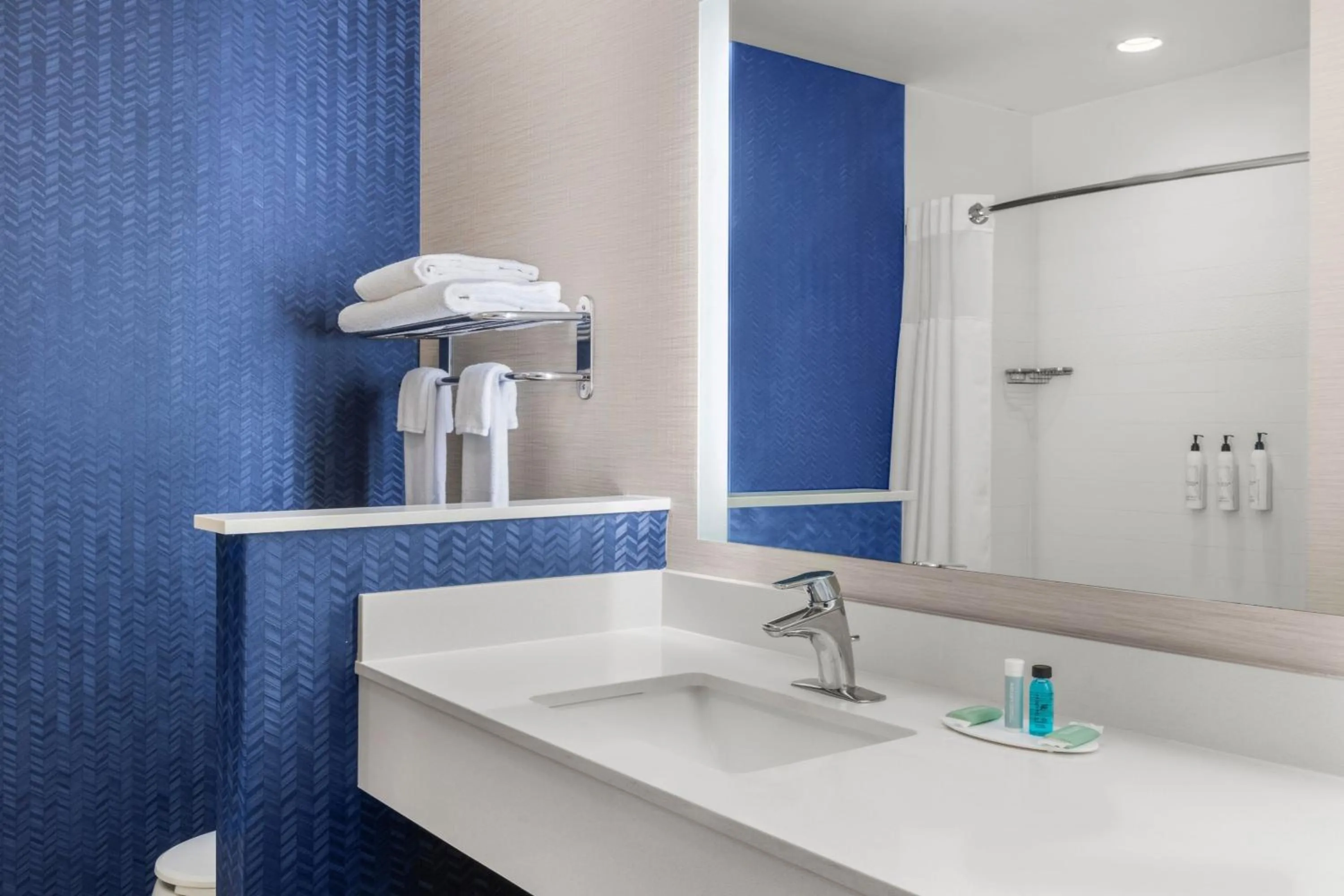 Bathroom in Fairfield Inn & Suites by Marriott Alexandria