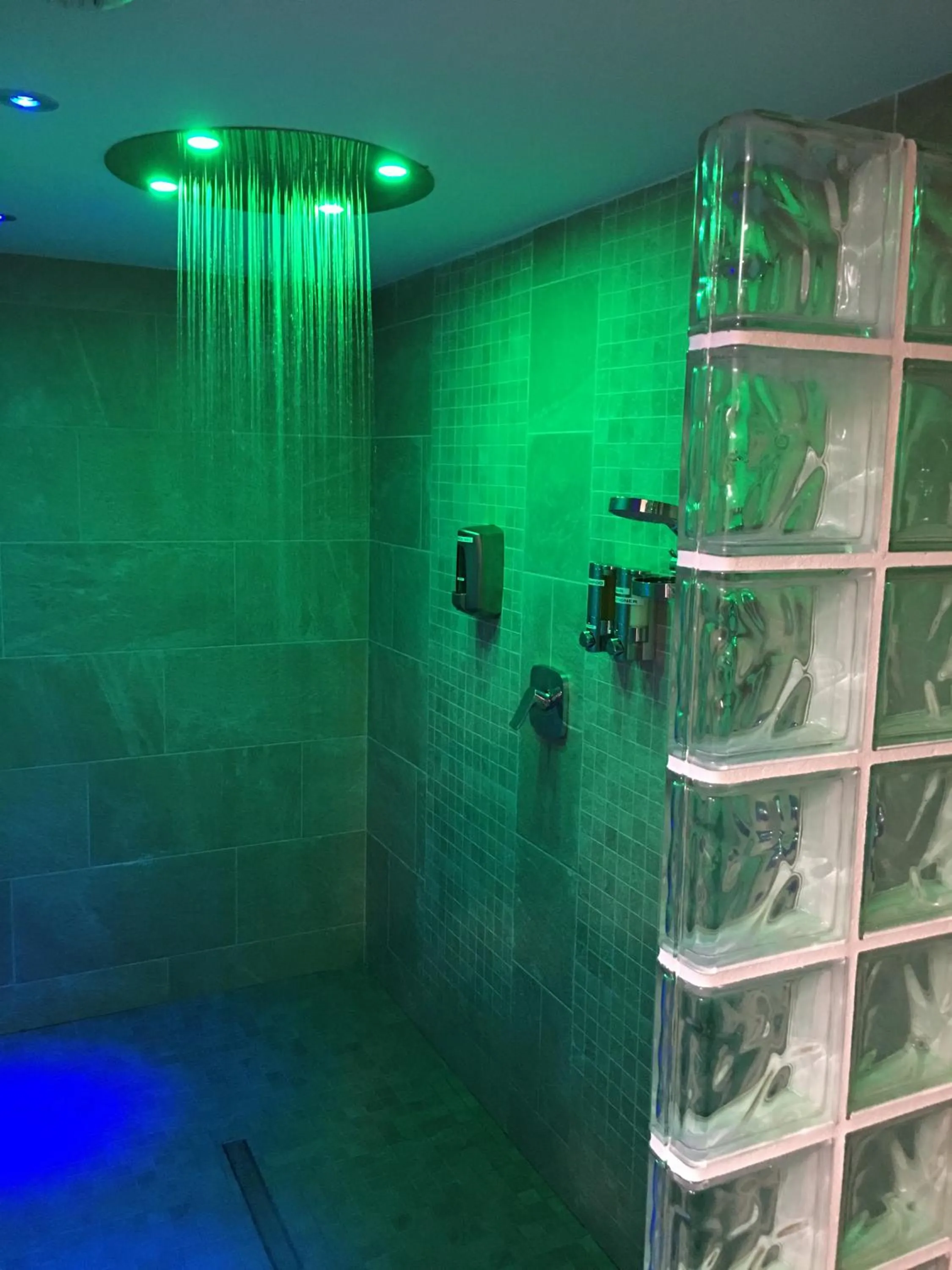 Sauna in Hotel Balcón de Europa