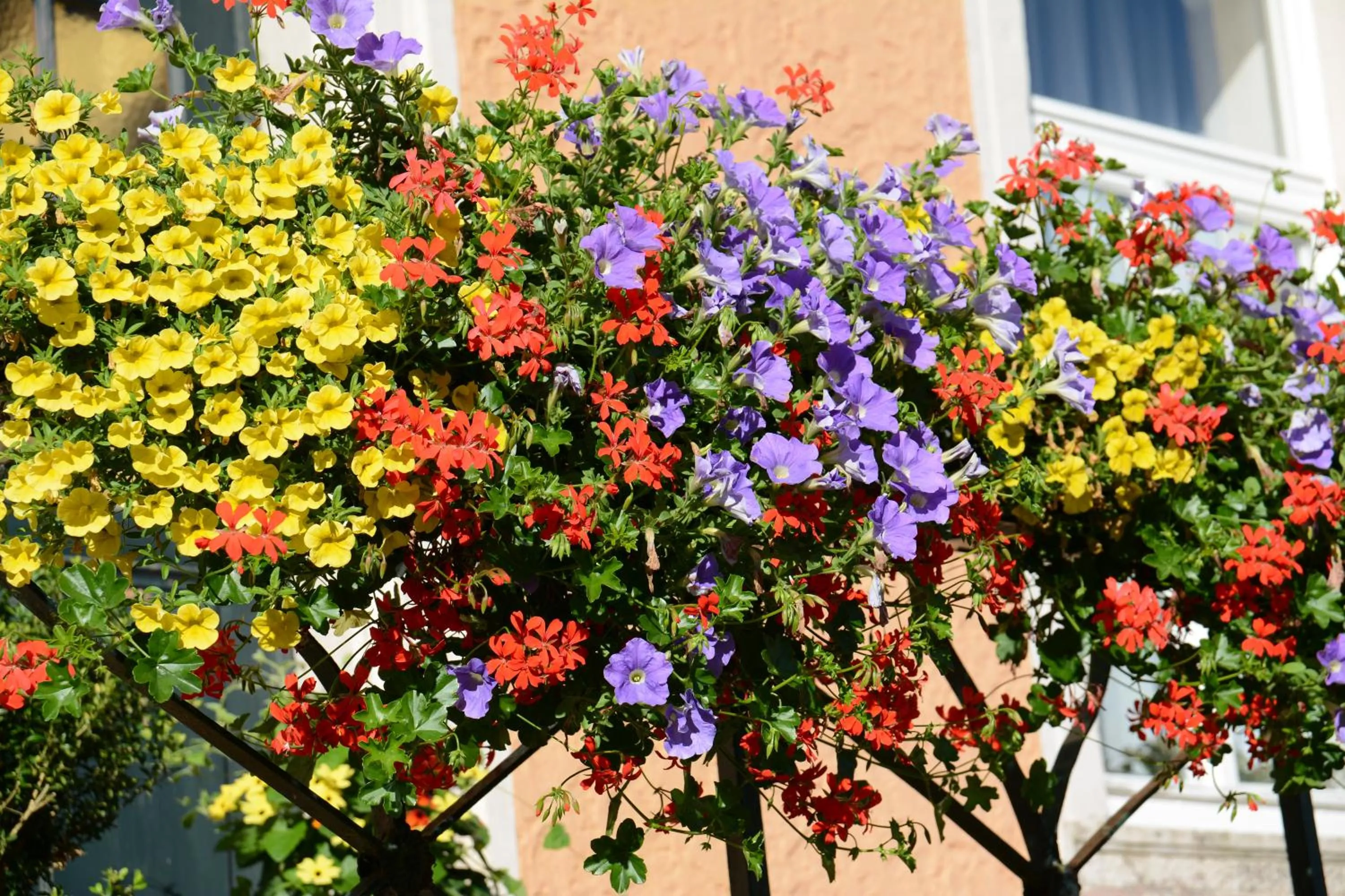 Garden in Gasthaus Finken