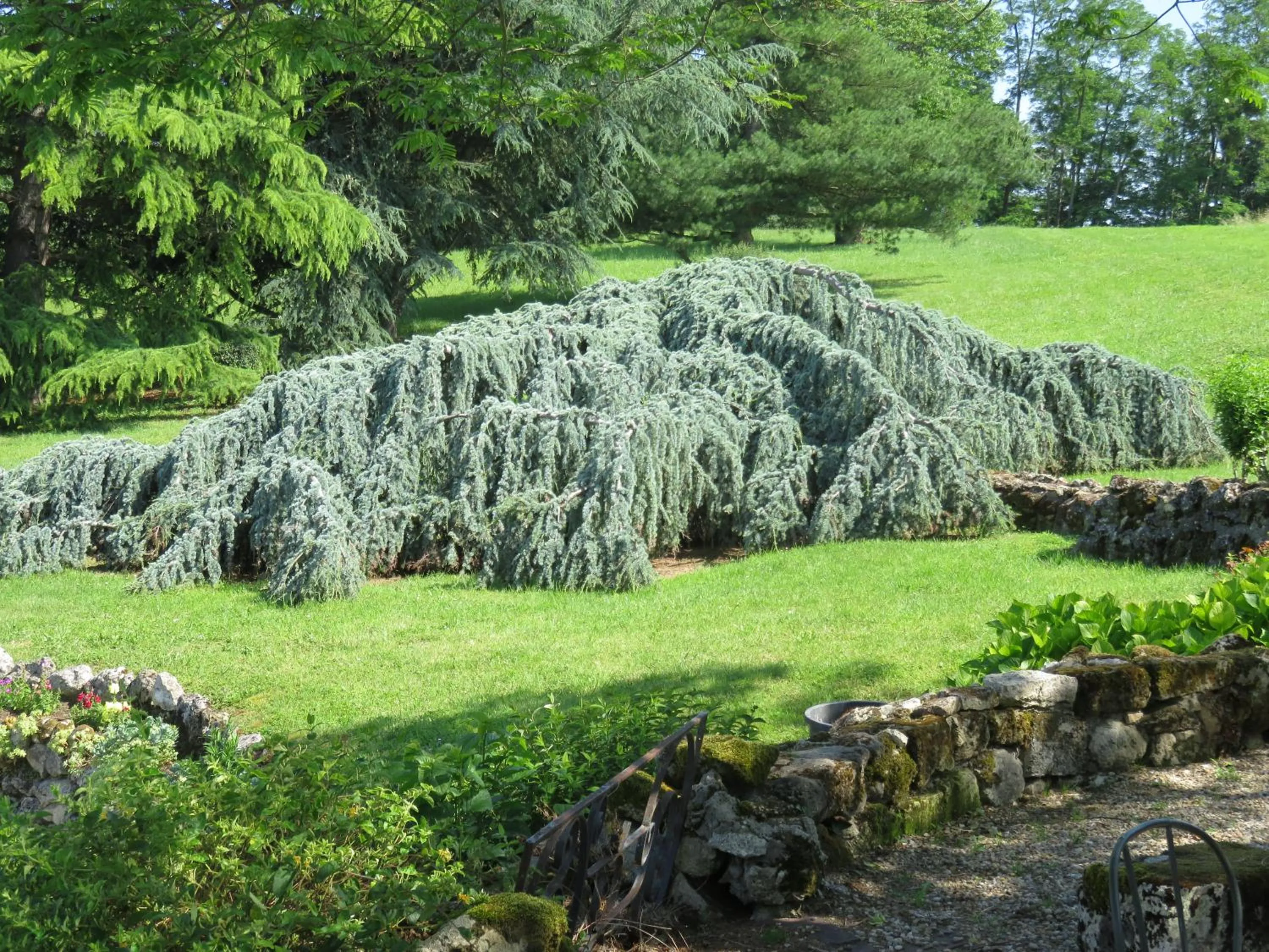 Garden view in Les 4 Eléments St Emilion