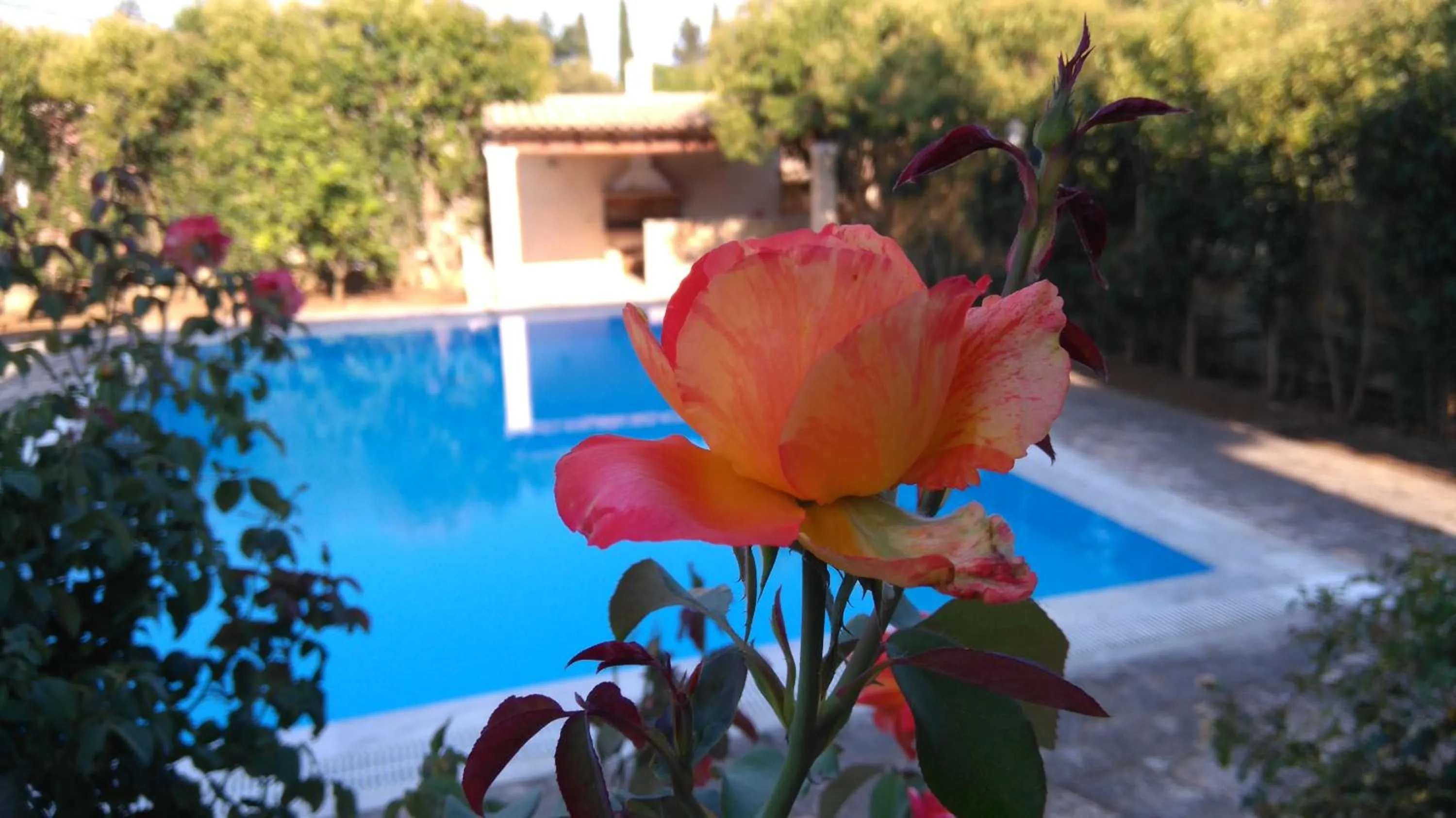 Day in CHA Nanakas Village Inn