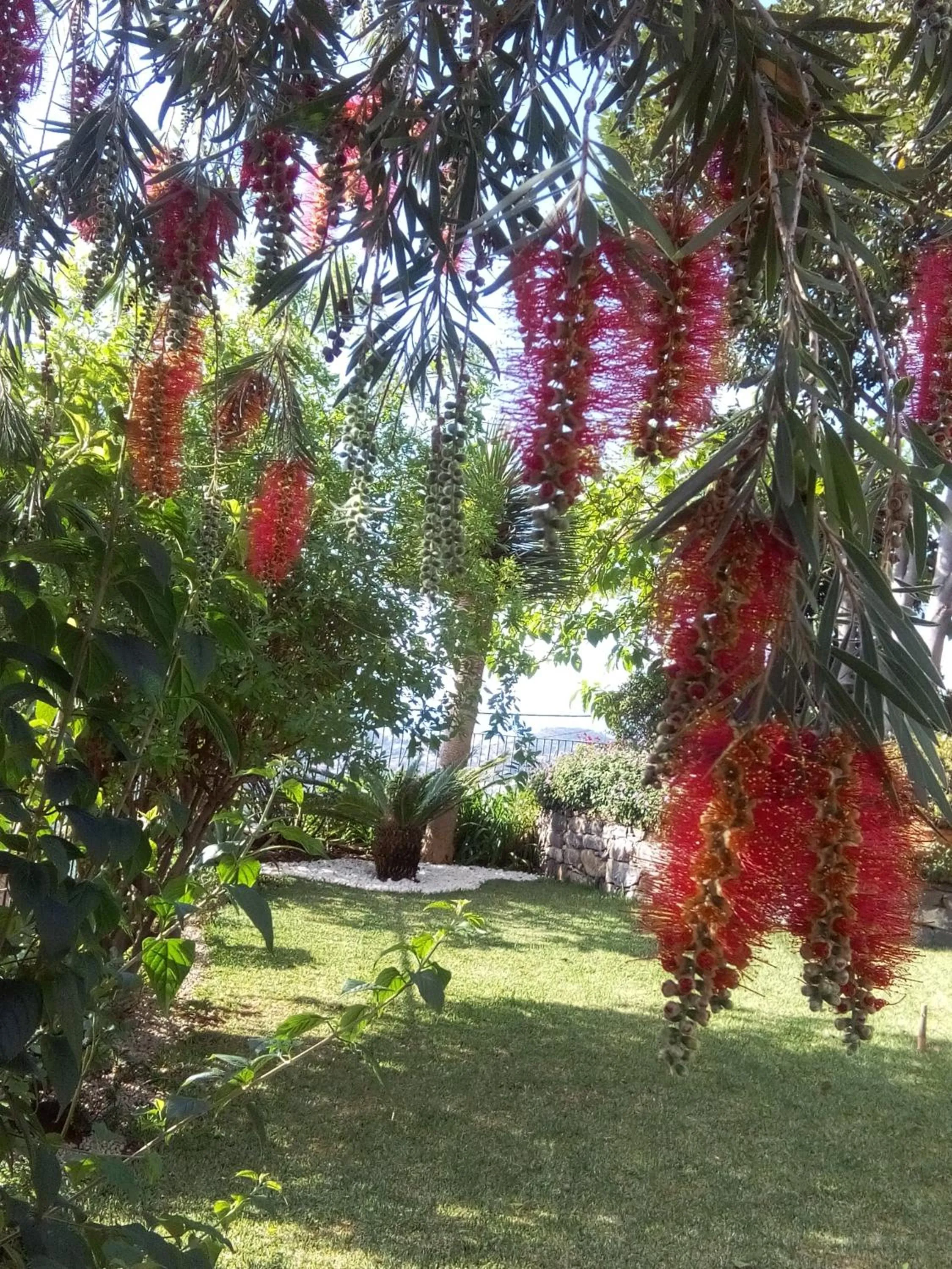 Garden in La Chambre de Ker Briac