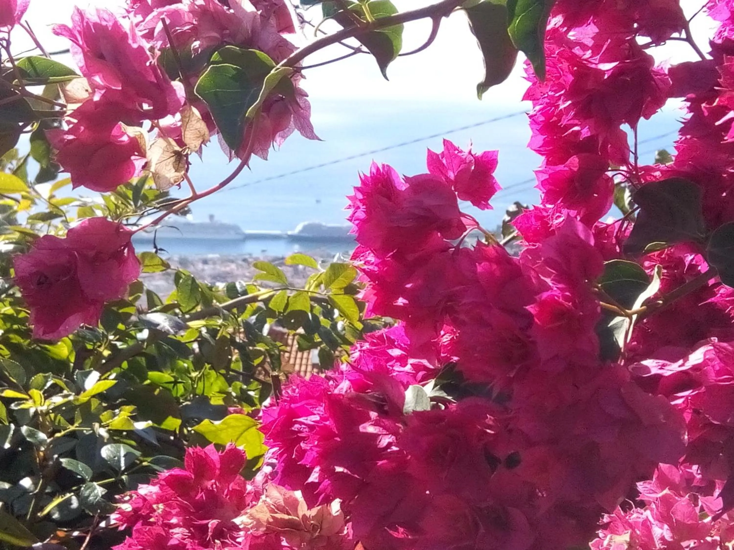 Sea view in La Chambre de Ker Briac