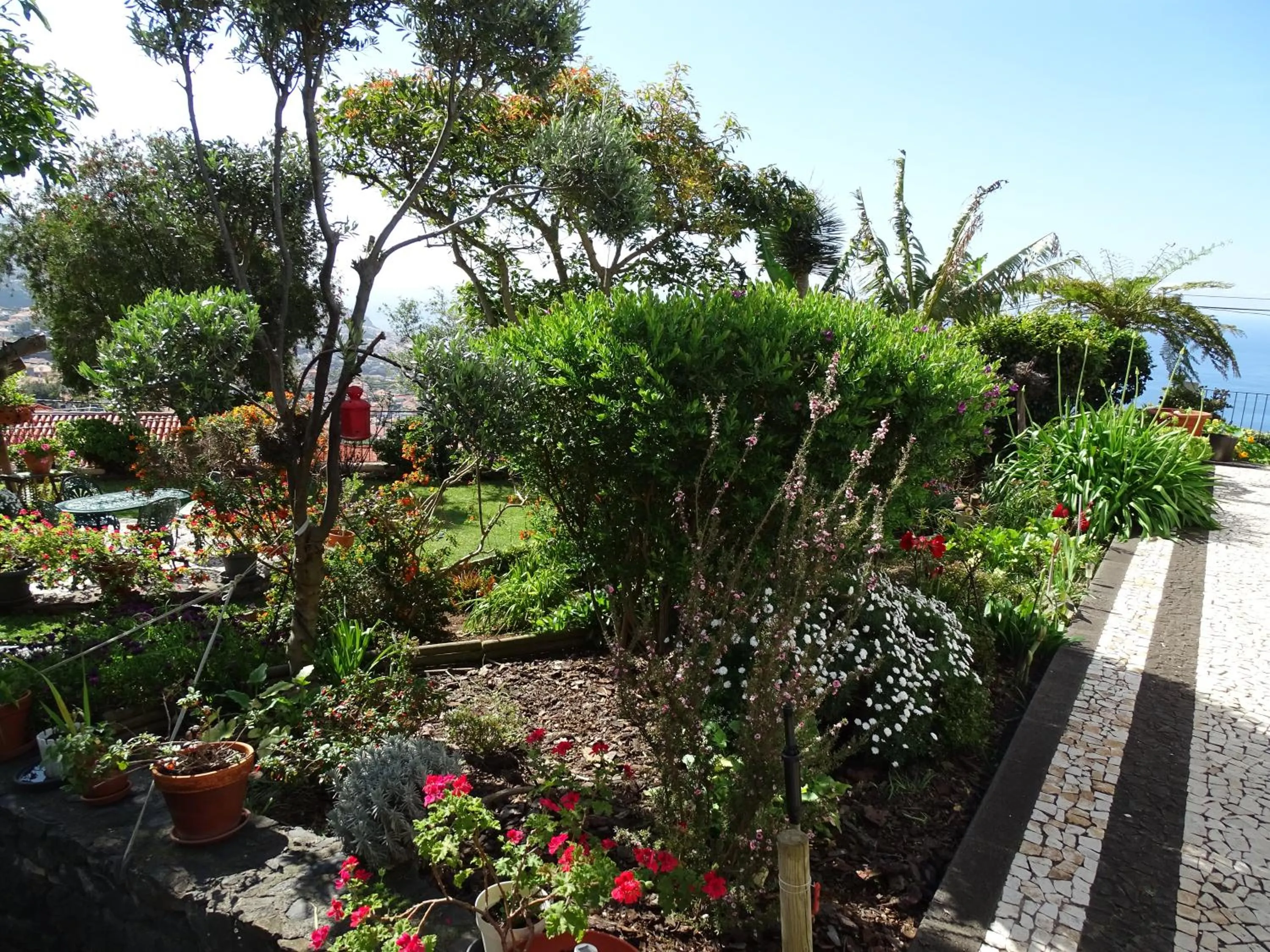 Garden view in La Chambre de Ker Briac