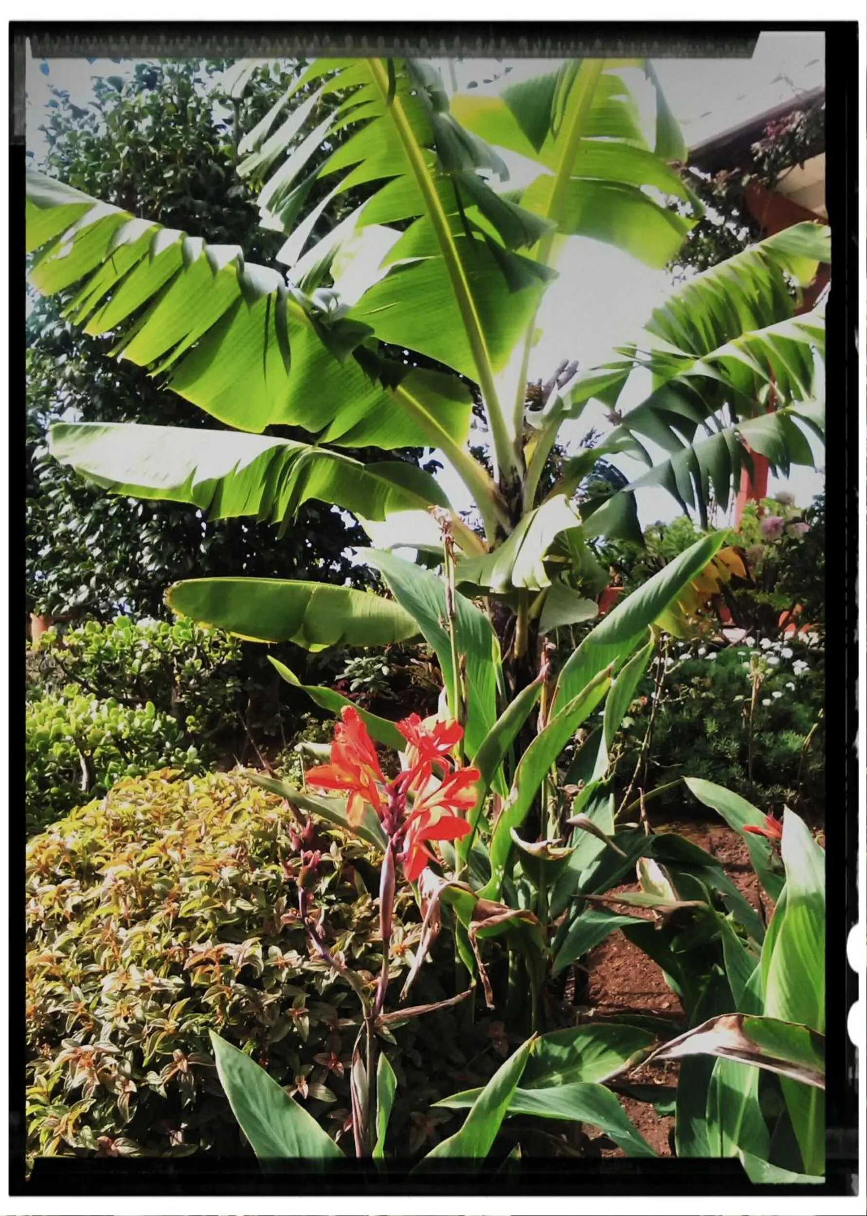 Garden in La Chambre de Ker Briac